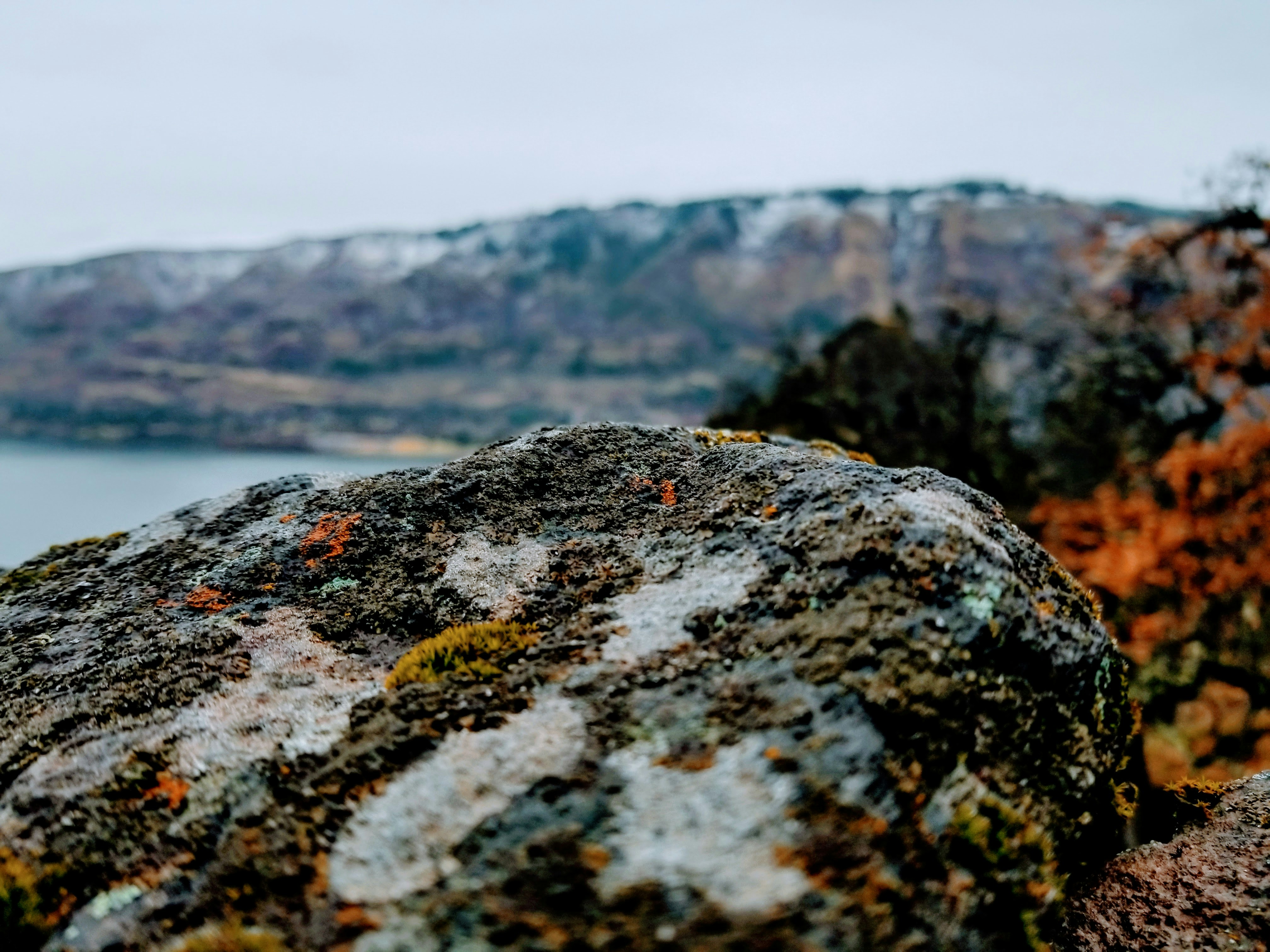 Photo by prphotography262