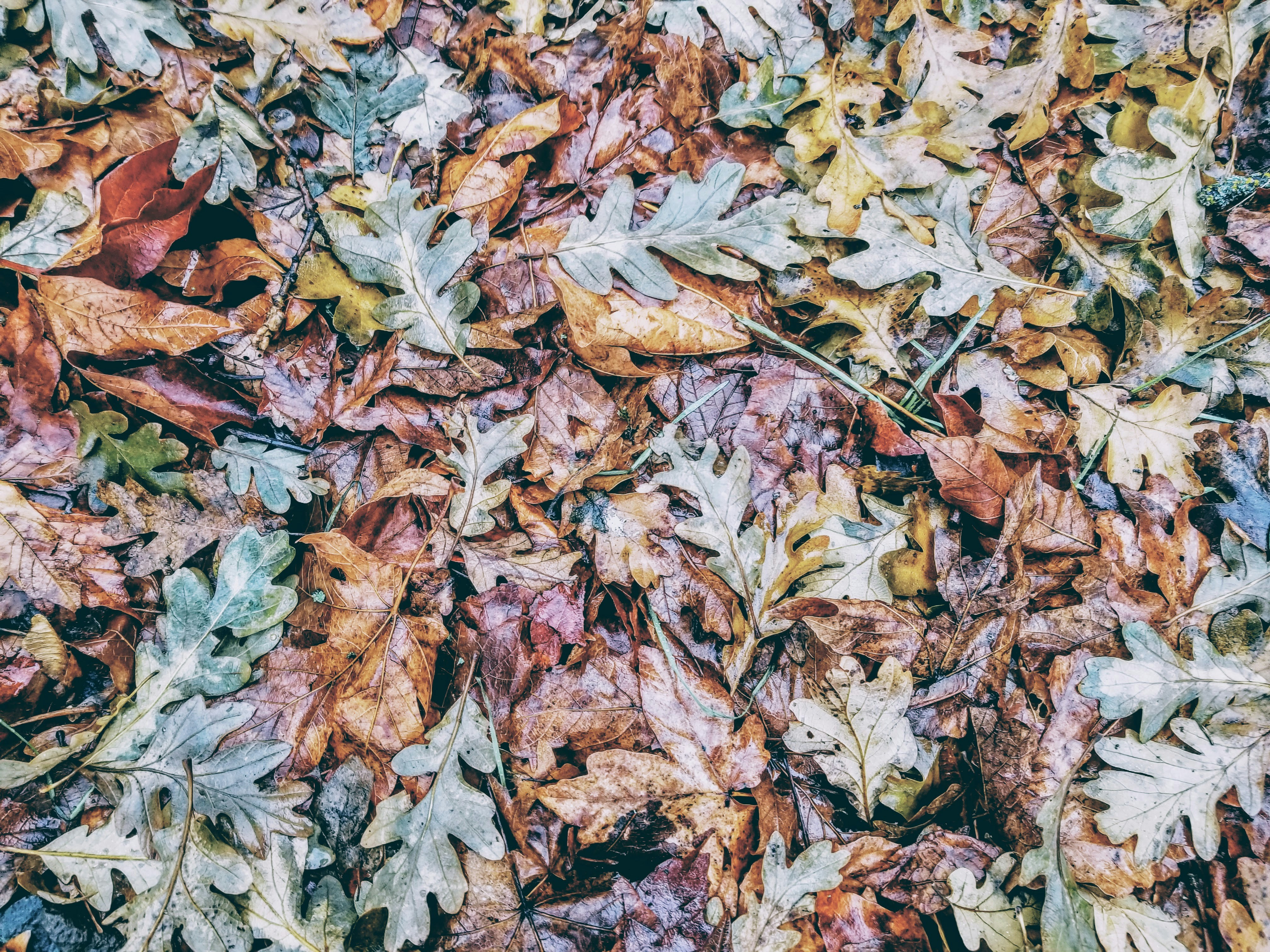 Photo by prphotography262