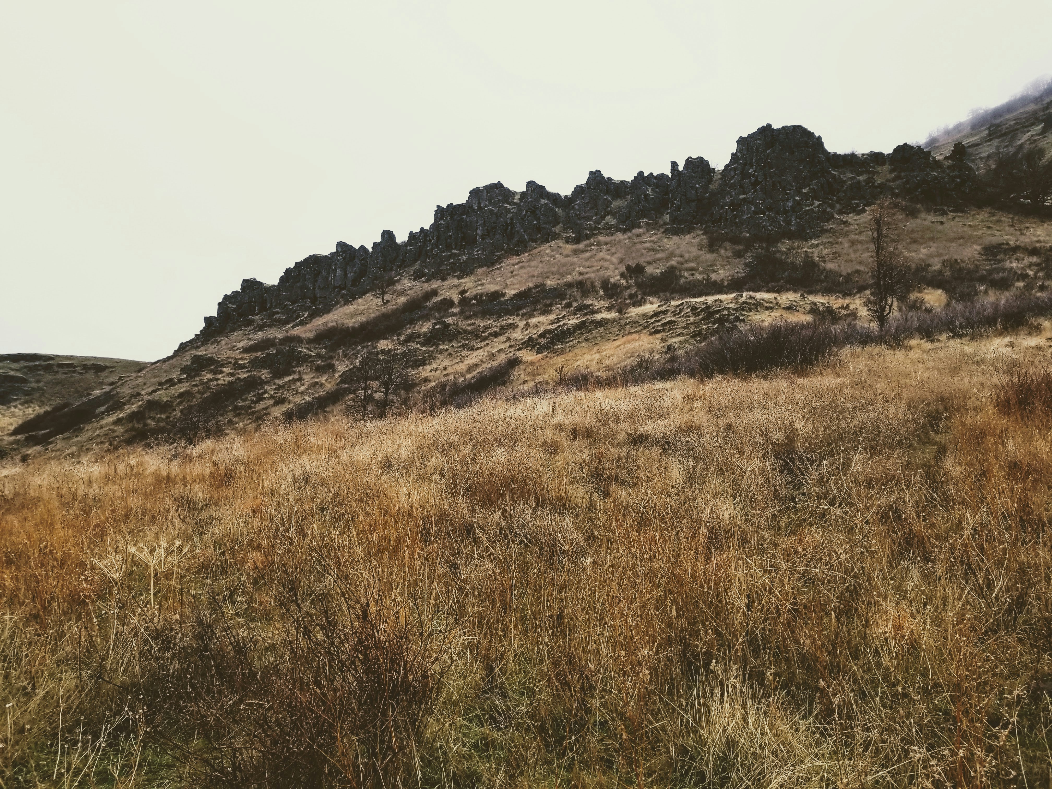 Photo by prphotography262