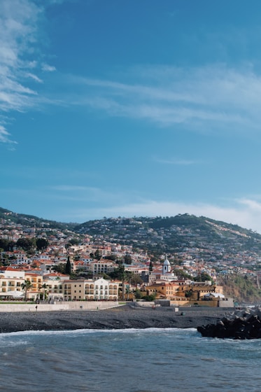 a view of a city from the ocean