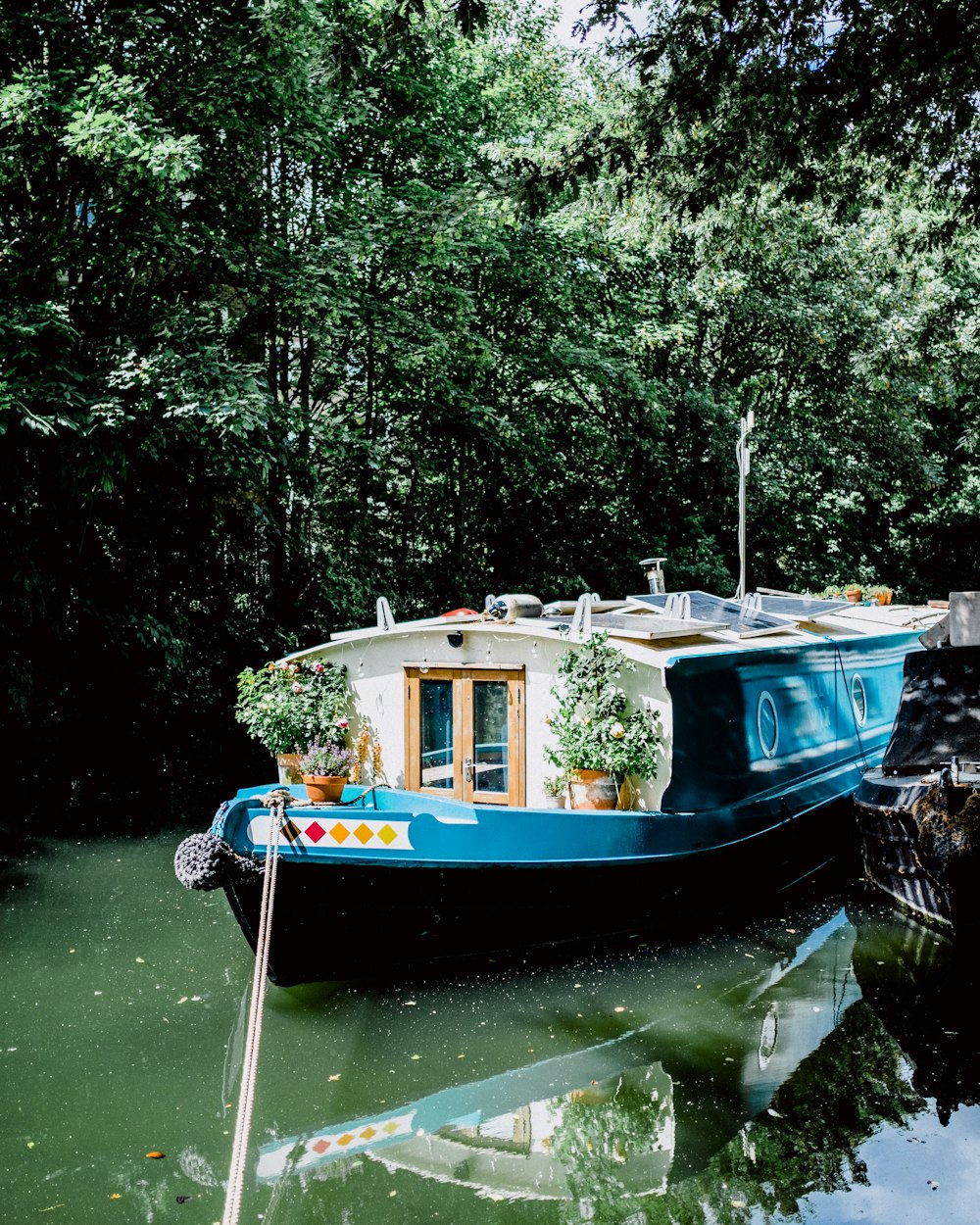 una barca blu con piante sul lato di esso