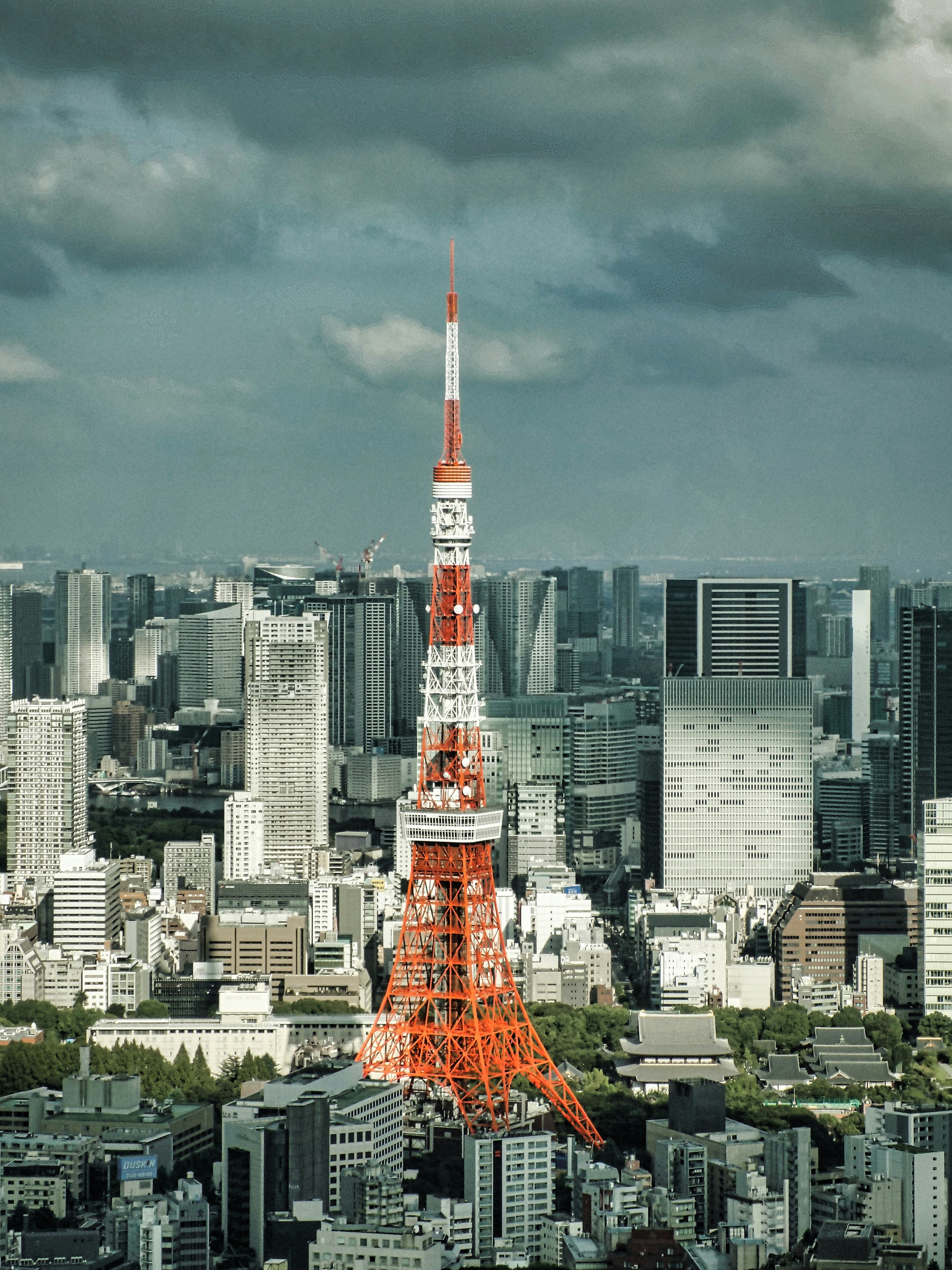 Photo by fabiotakaya