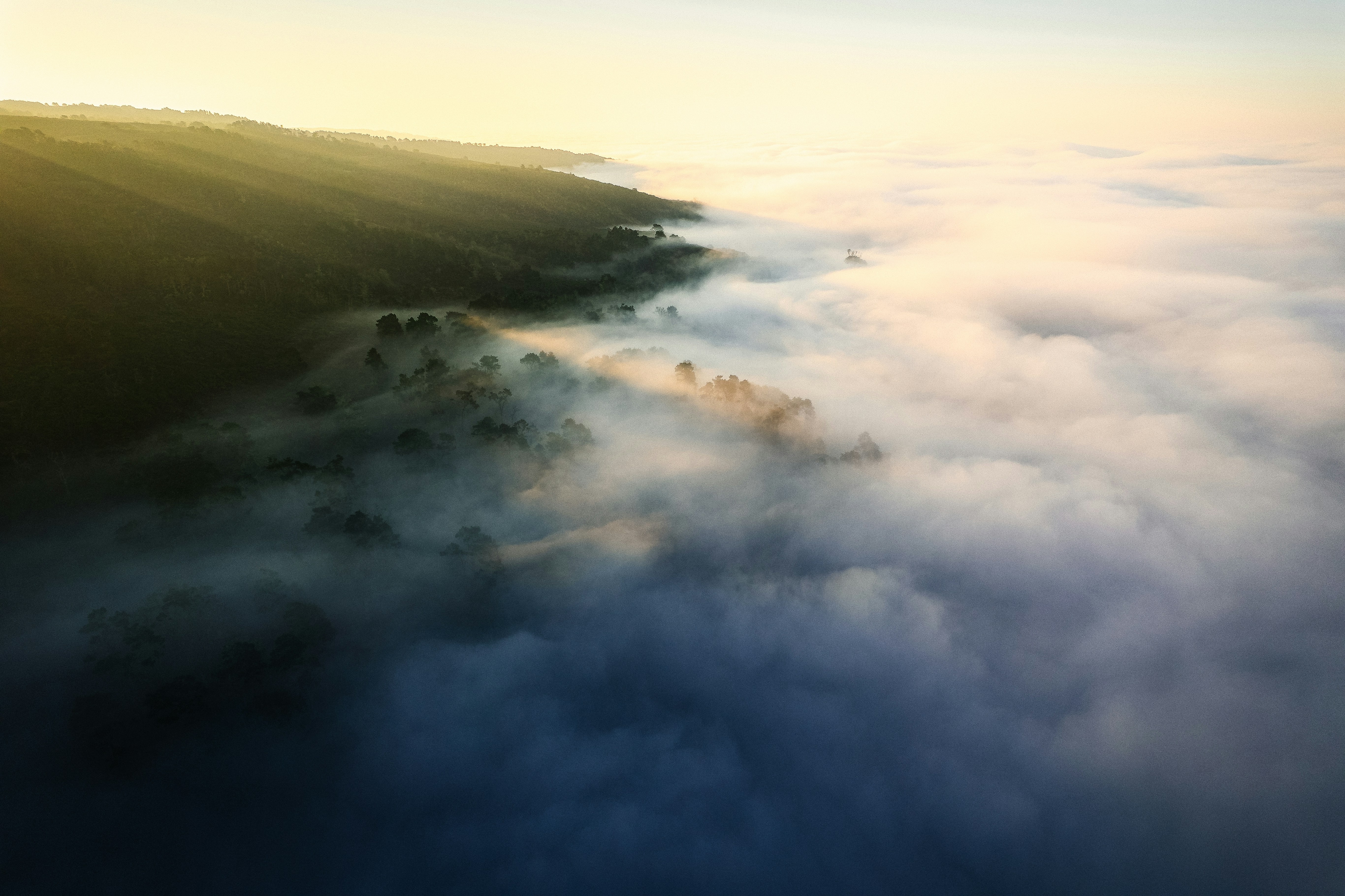 Photo by mischievous_penguins