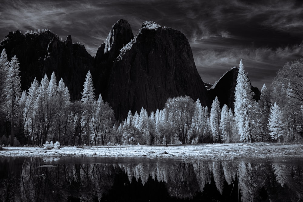 a black and white photo of trees and mountains