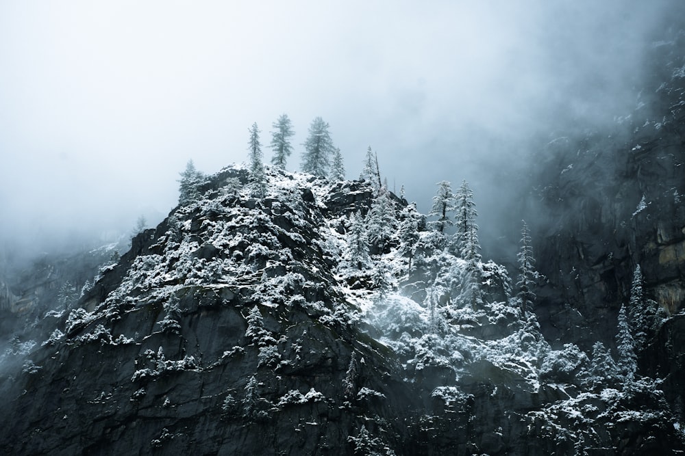 a mountain covered in snow next to a forest