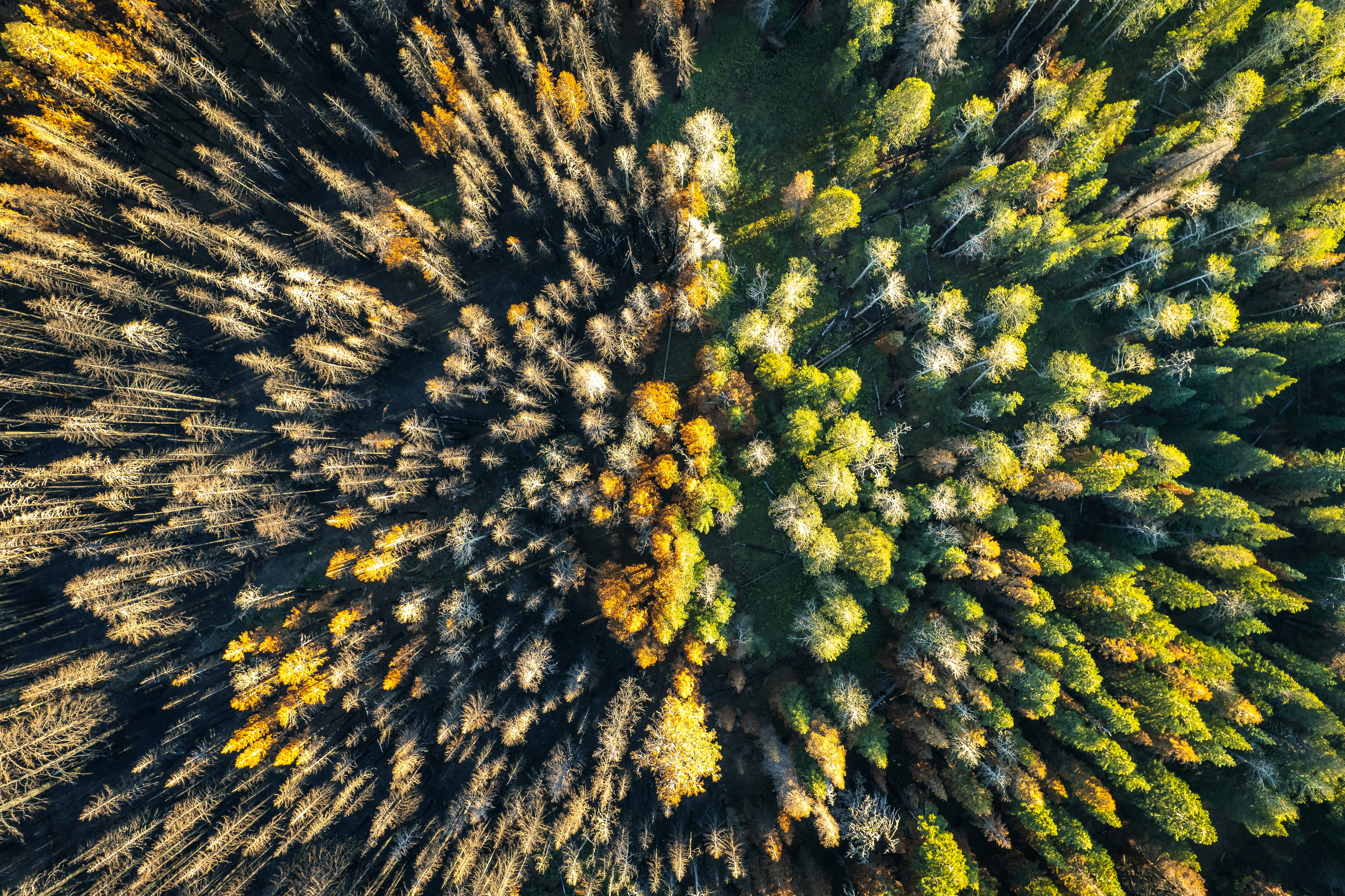 Photo by mischievous_penguins