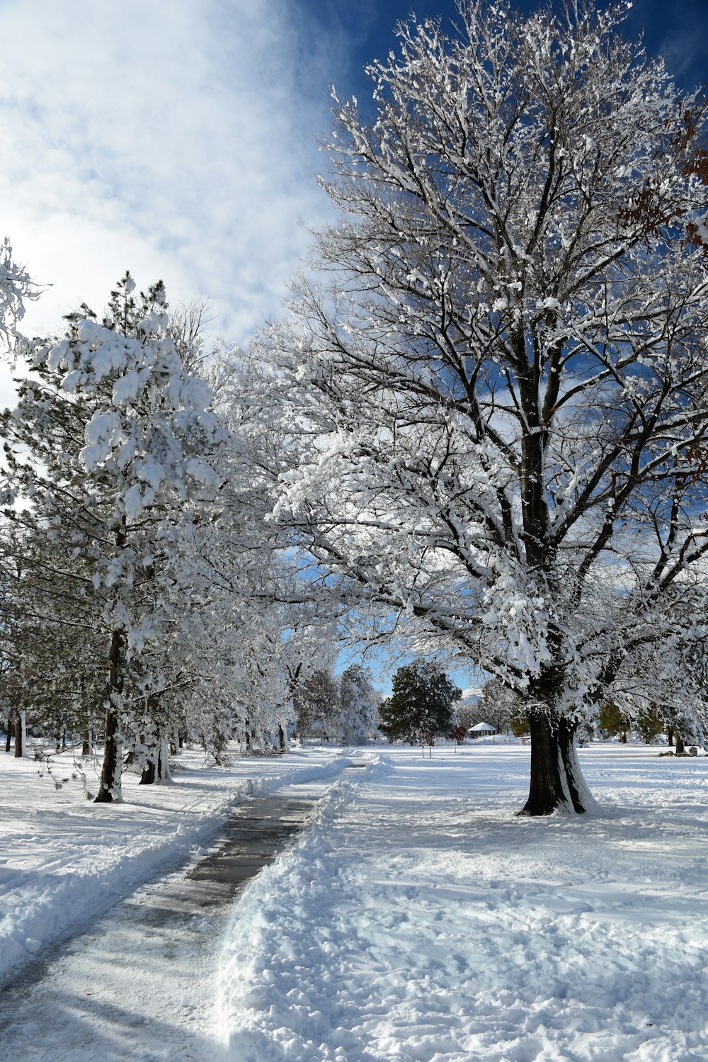 un parco innevato con alberi e panchine