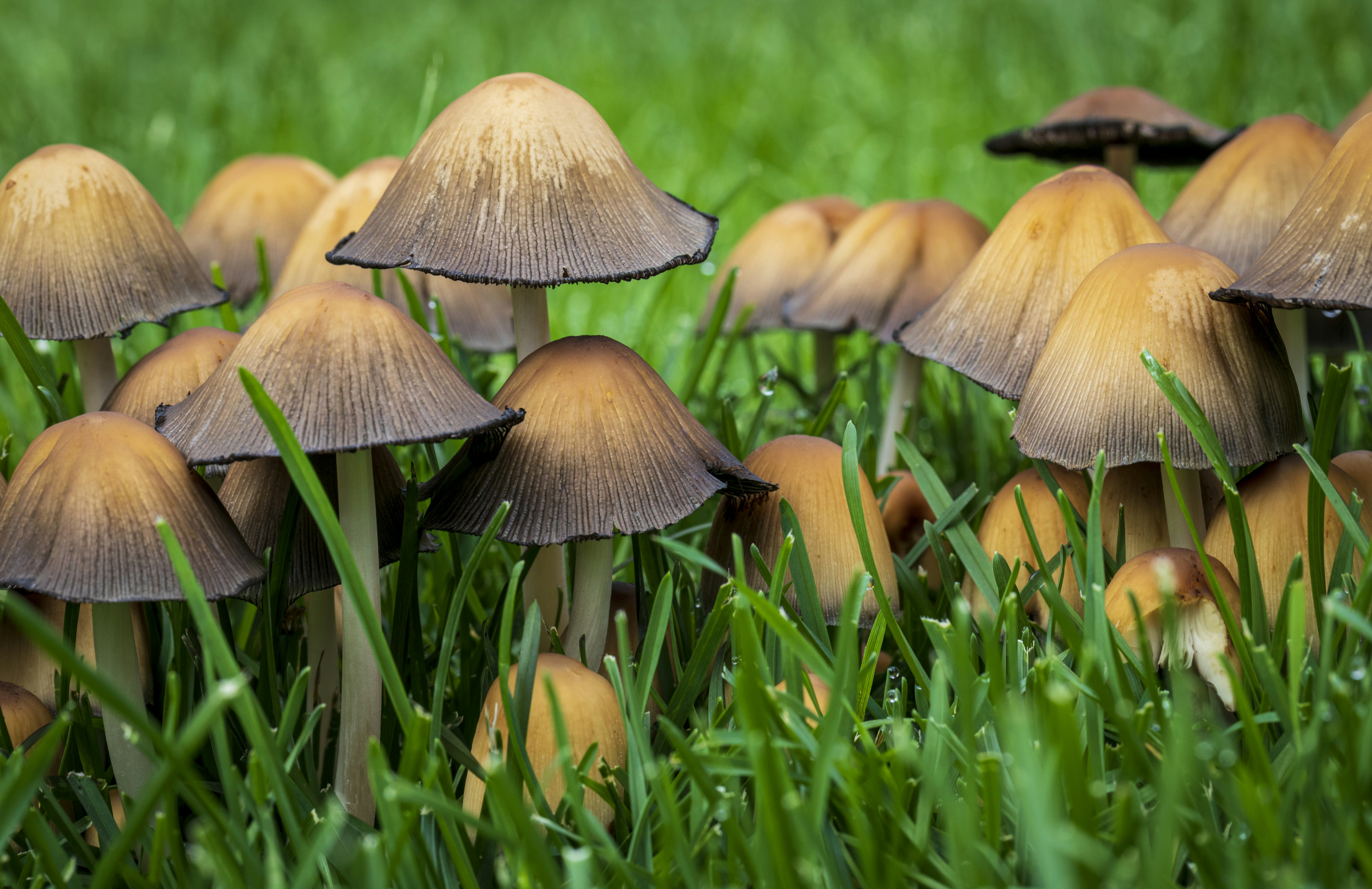 Photo by camerauthor