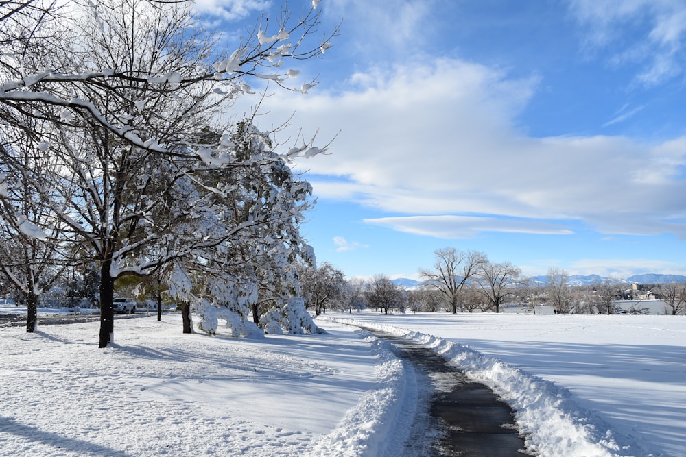 a snow covered field with trees and a path