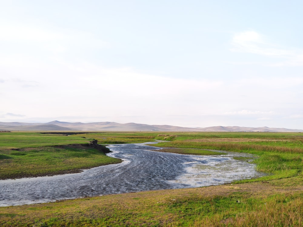 a river running through a lush green field