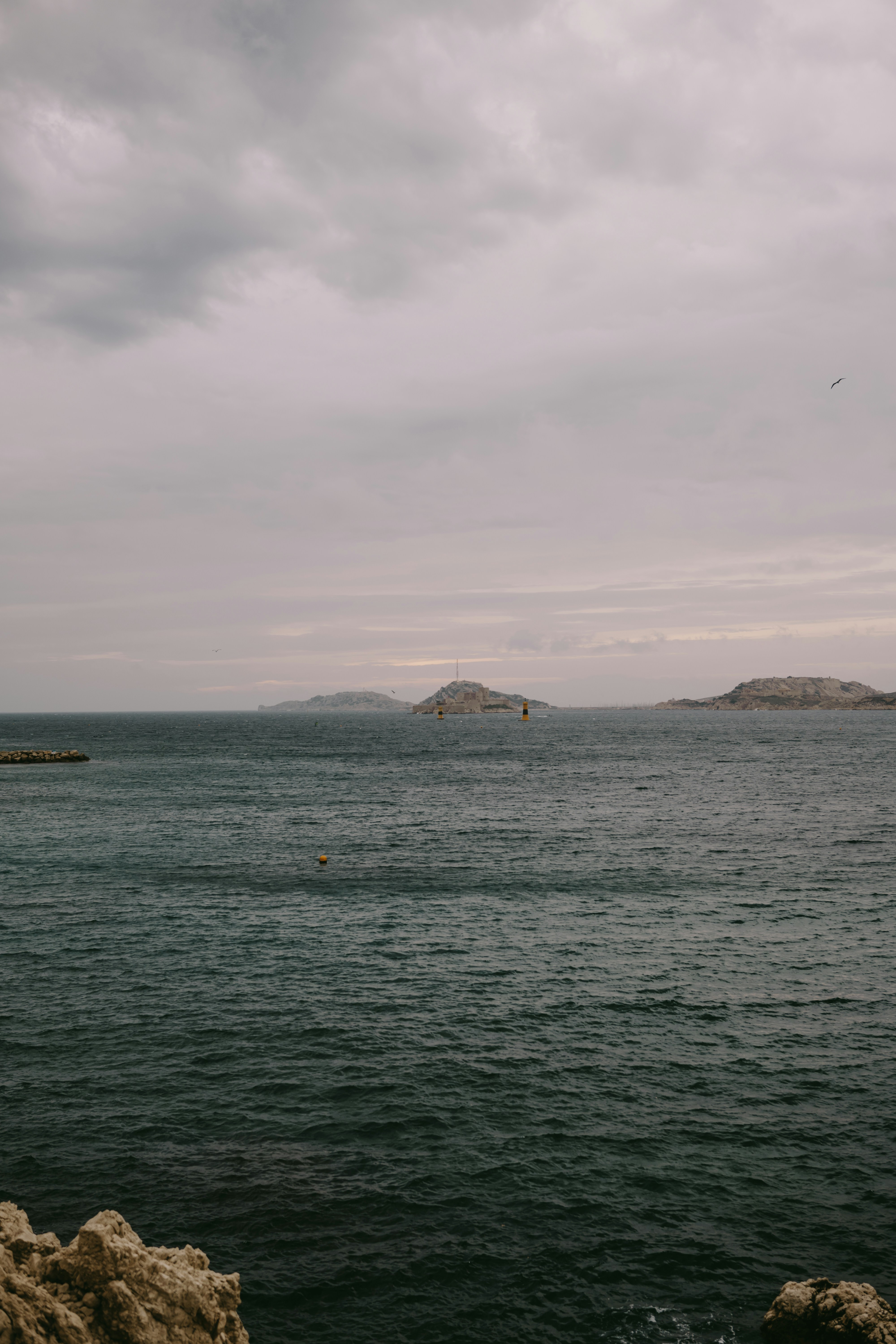 Photo by elmartinbaron