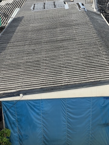 A large corrugated metal roof with a section of blue tarp covering the area at the bottom. There are some plants visible at the lower left corner.