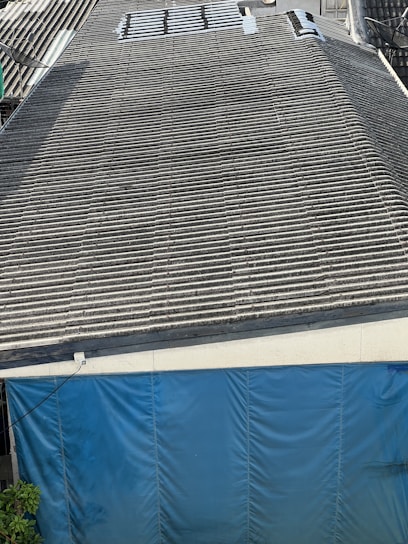 A large corrugated metal roof with a section of blue tarp covering the area at the bottom. There are some plants visible at the lower left corner.