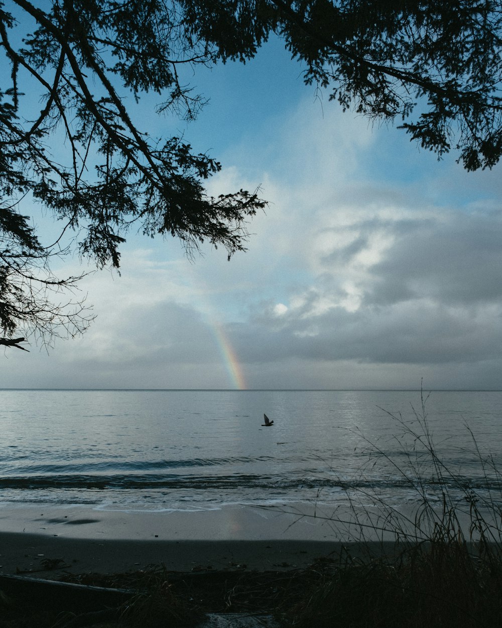 a rainbow in the sky over a body of water