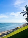 a view of a beach with a yellow umbrella