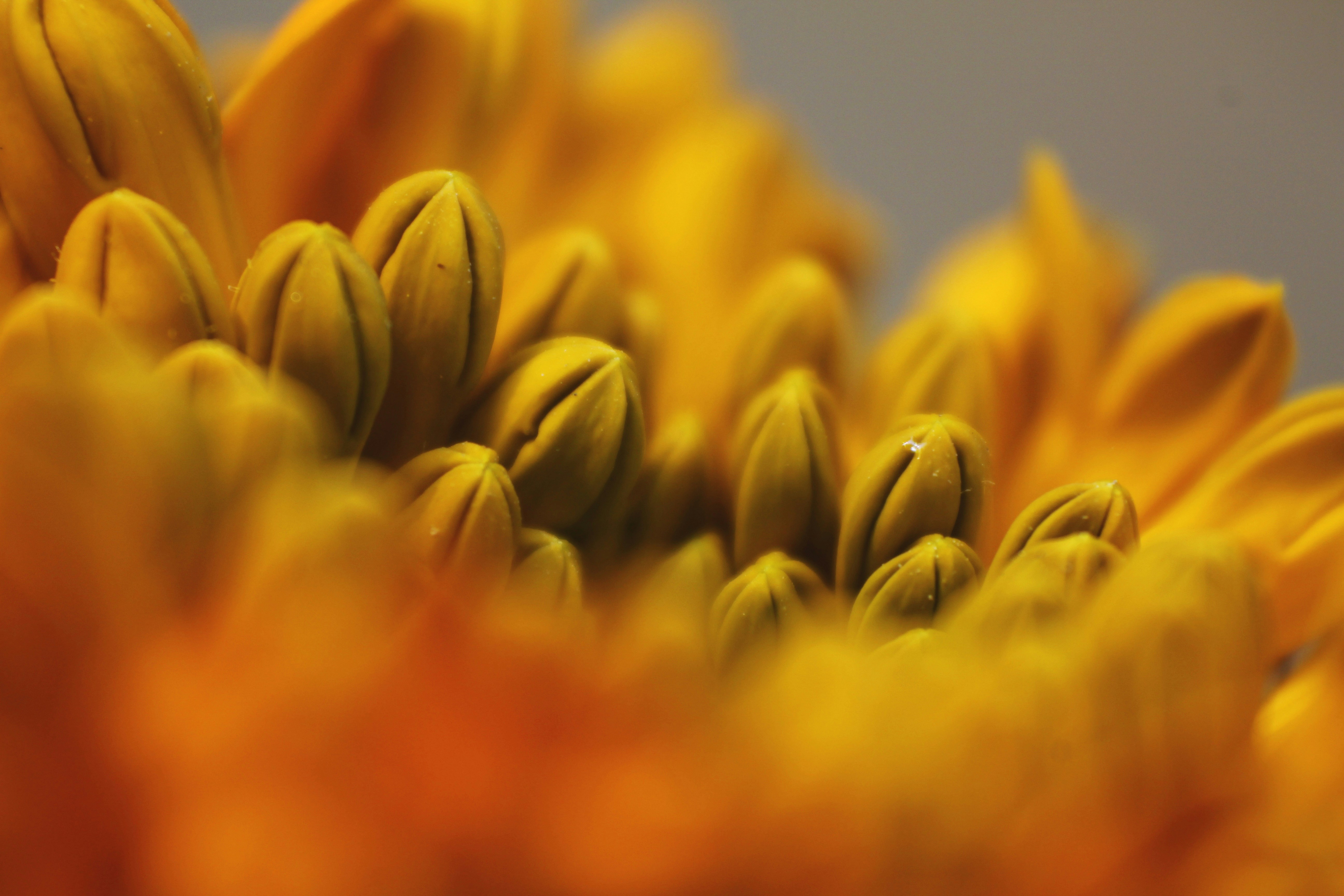 Photo by arif_zack_photography