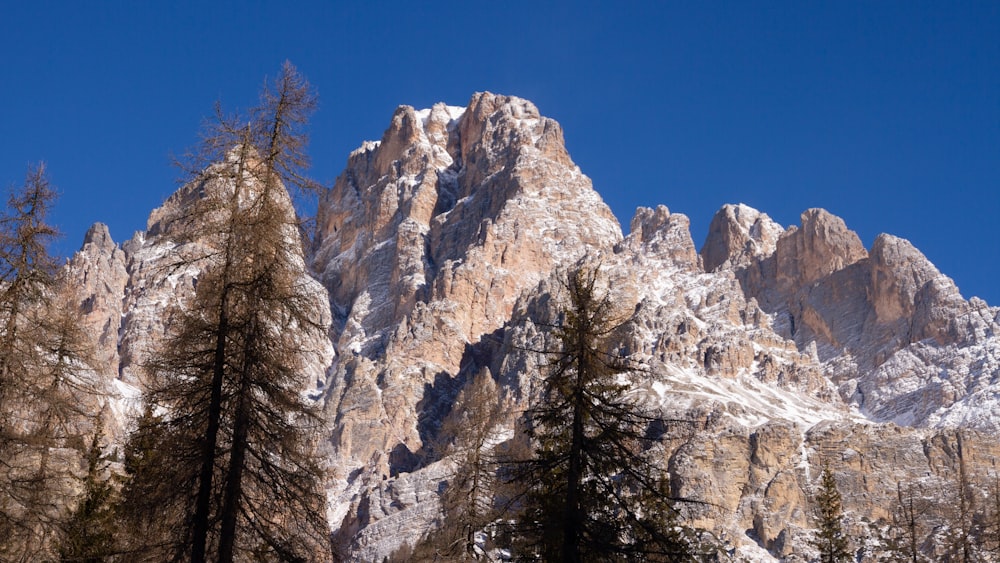 a snow covered mountain with trees in the foreground