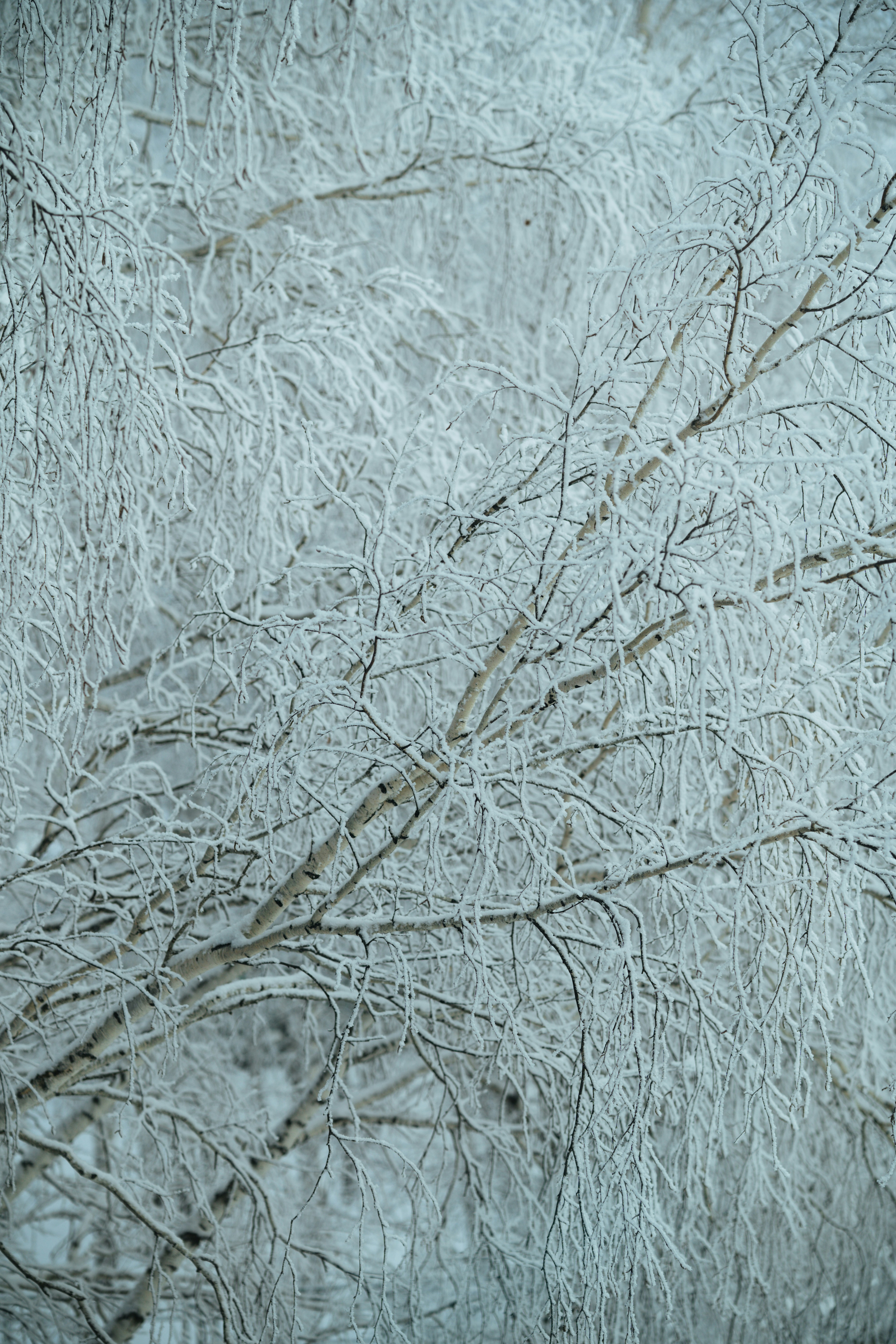 Photo by anamnesis33