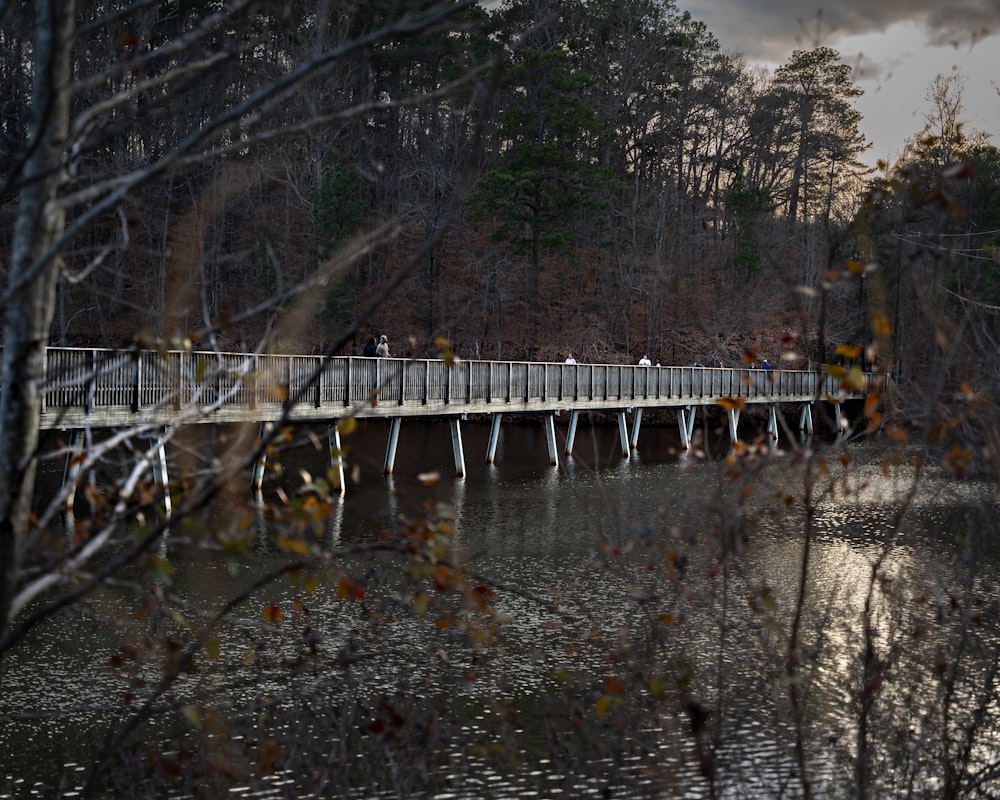 a bridge over a body of water surrounded by trees