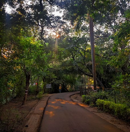 A person walking confidently on a winding path through a forest, symbolizing journey and exploration.