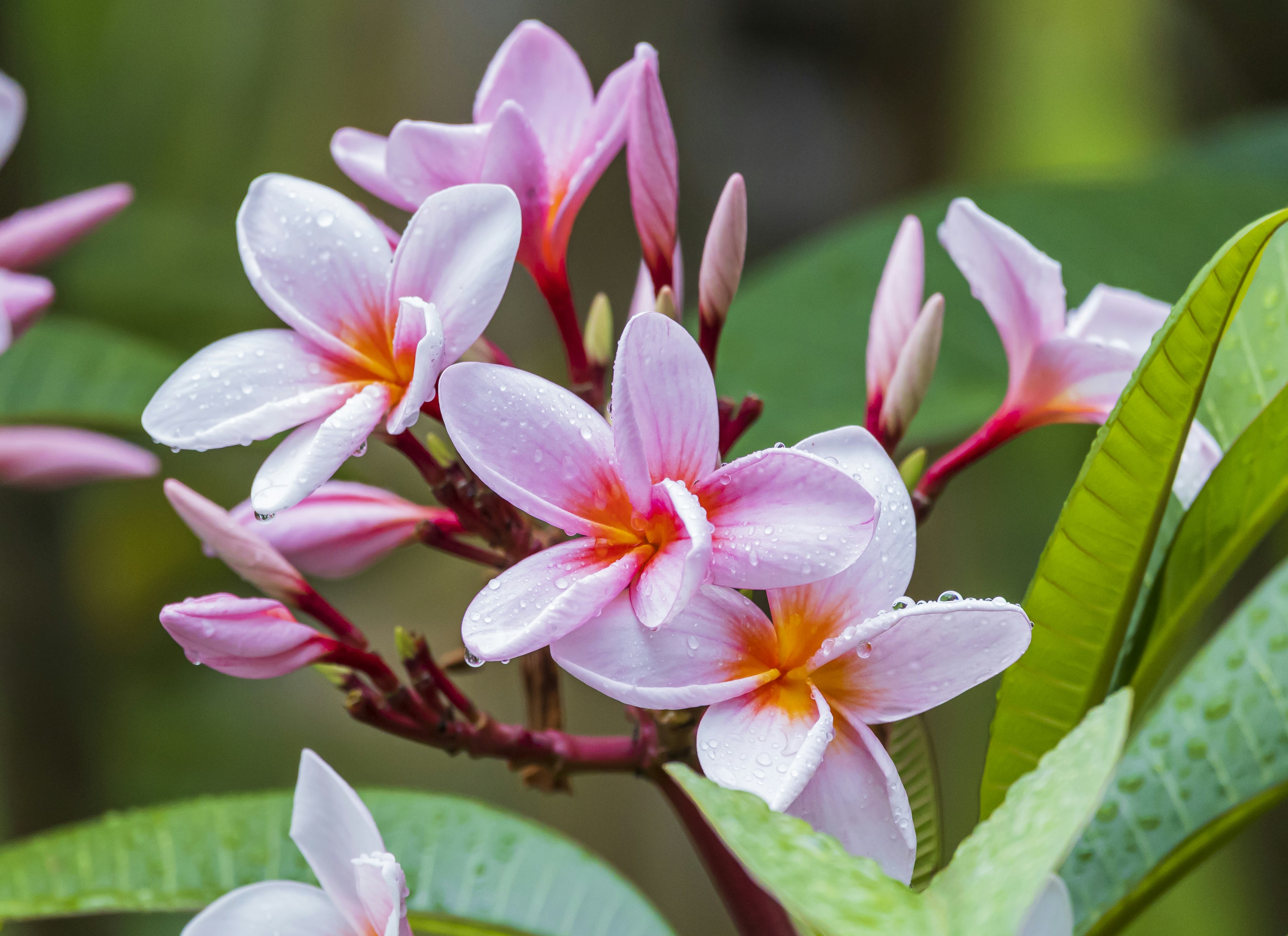 Photo by peter_cabral_photography