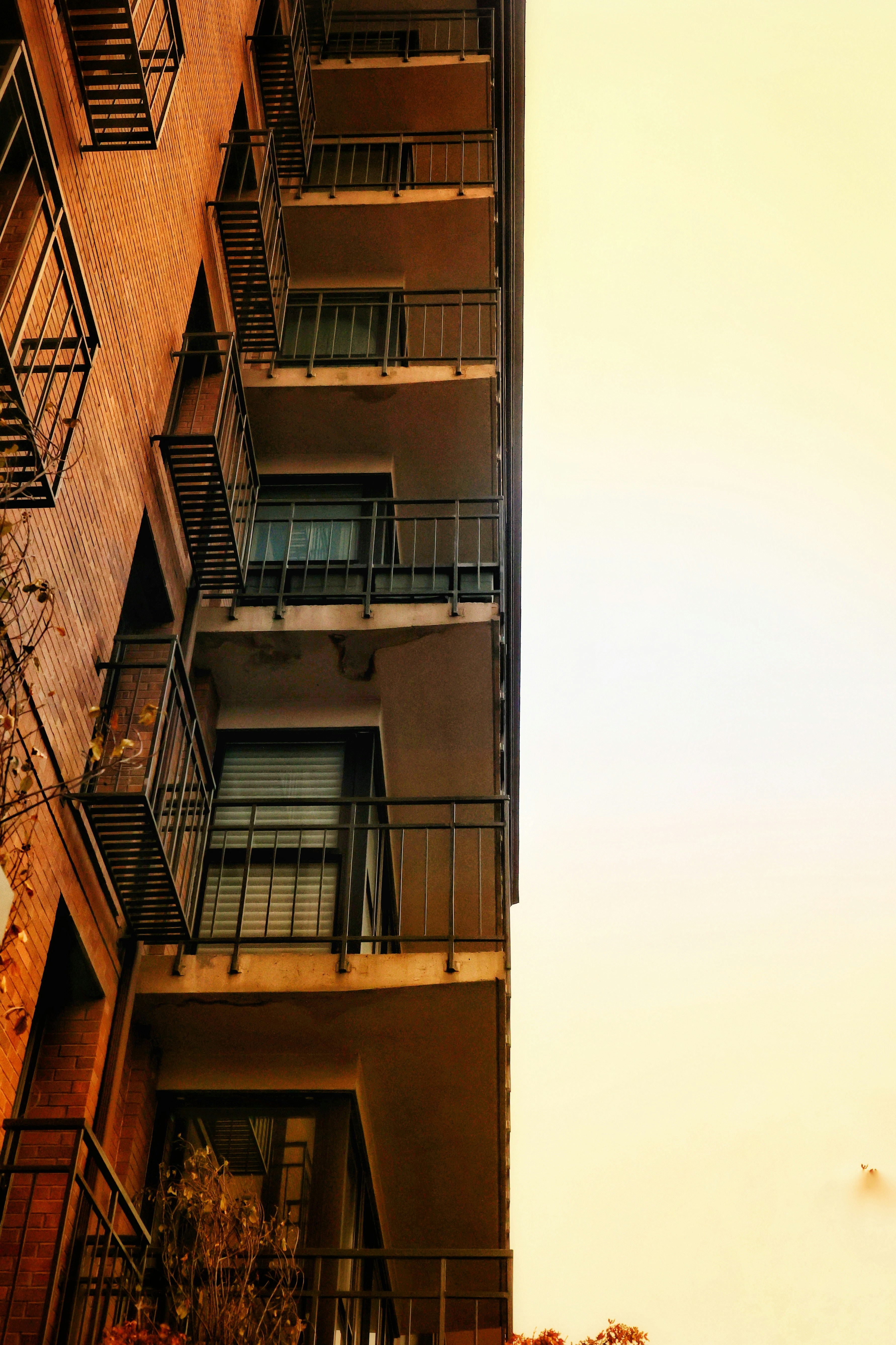 Photo by joshua_hoehne