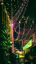 An outdoor scene at night featuring decorative string lights in shades of yellow and purple. A food stall with a sign reading 'Momo's' emits steam, suggesting hot food preparation. Two people are seated near the stall, with others possibly visible in the background. The atmosphere is lively, with lush green plants adding to the aesthetics.