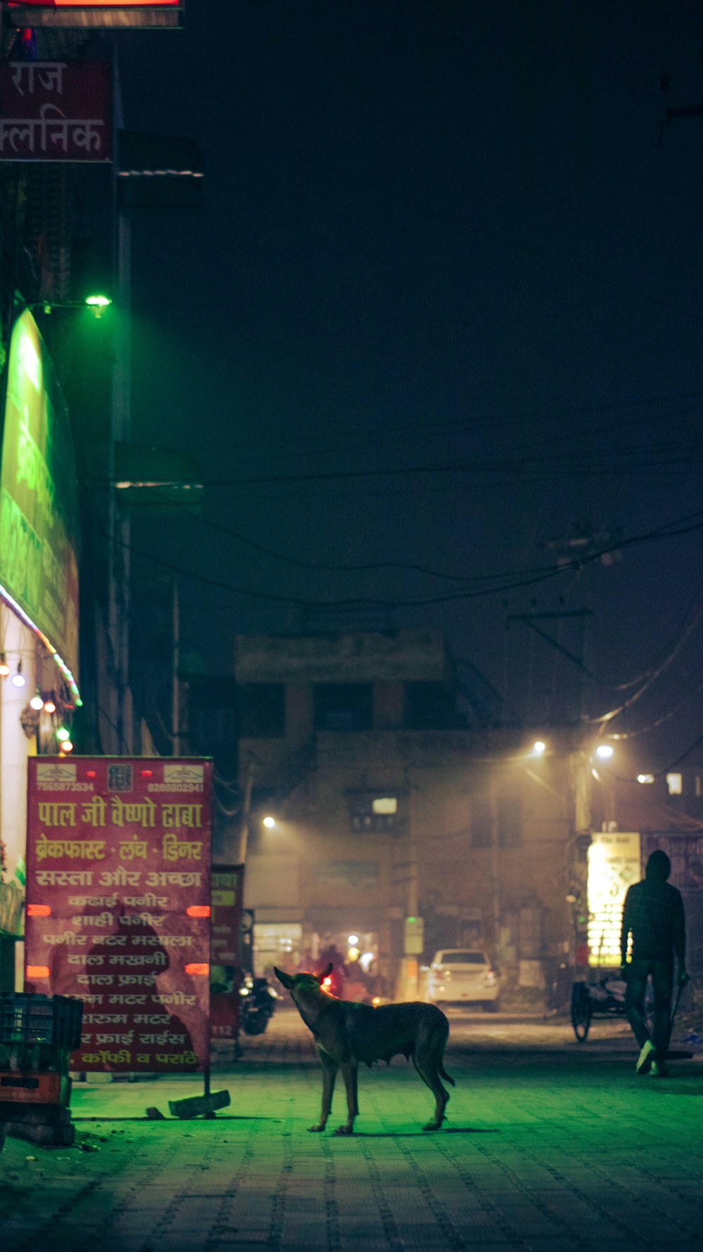 a dog standing in the middle of a street at night