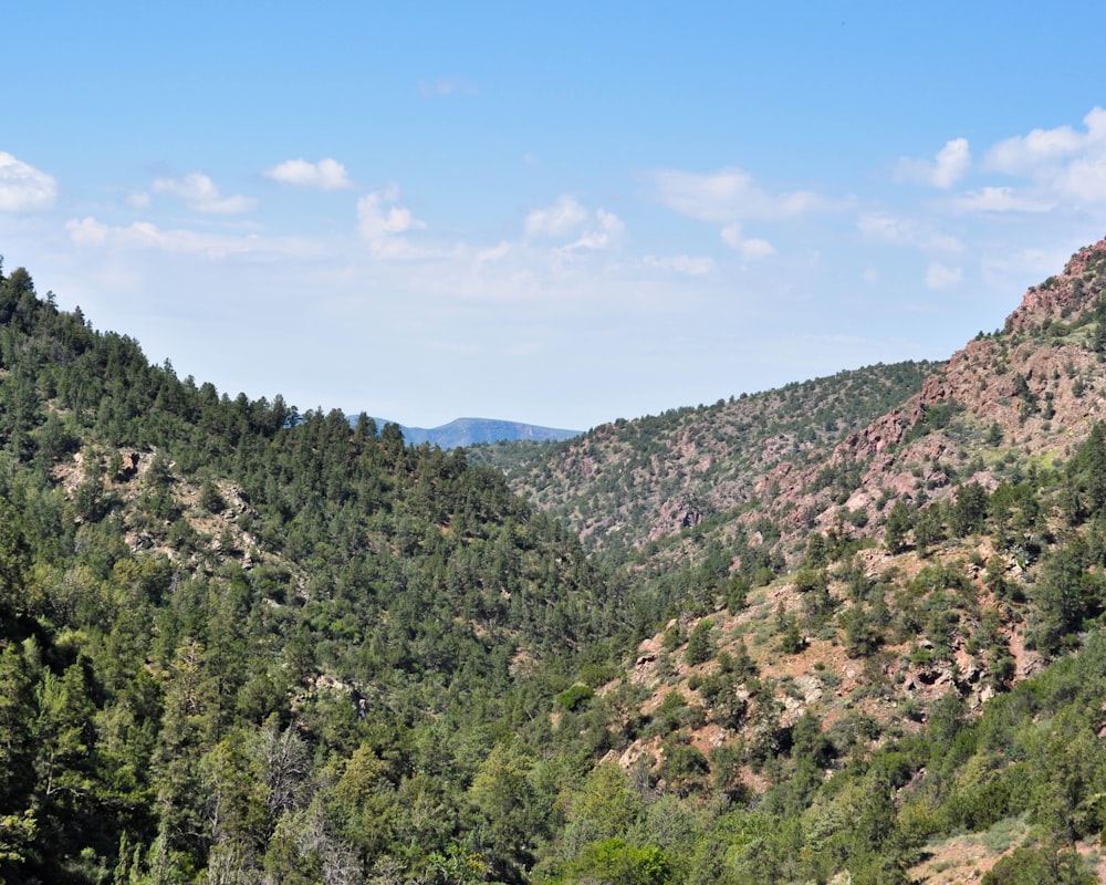 a view of a mountain range with trees and mountains in the background