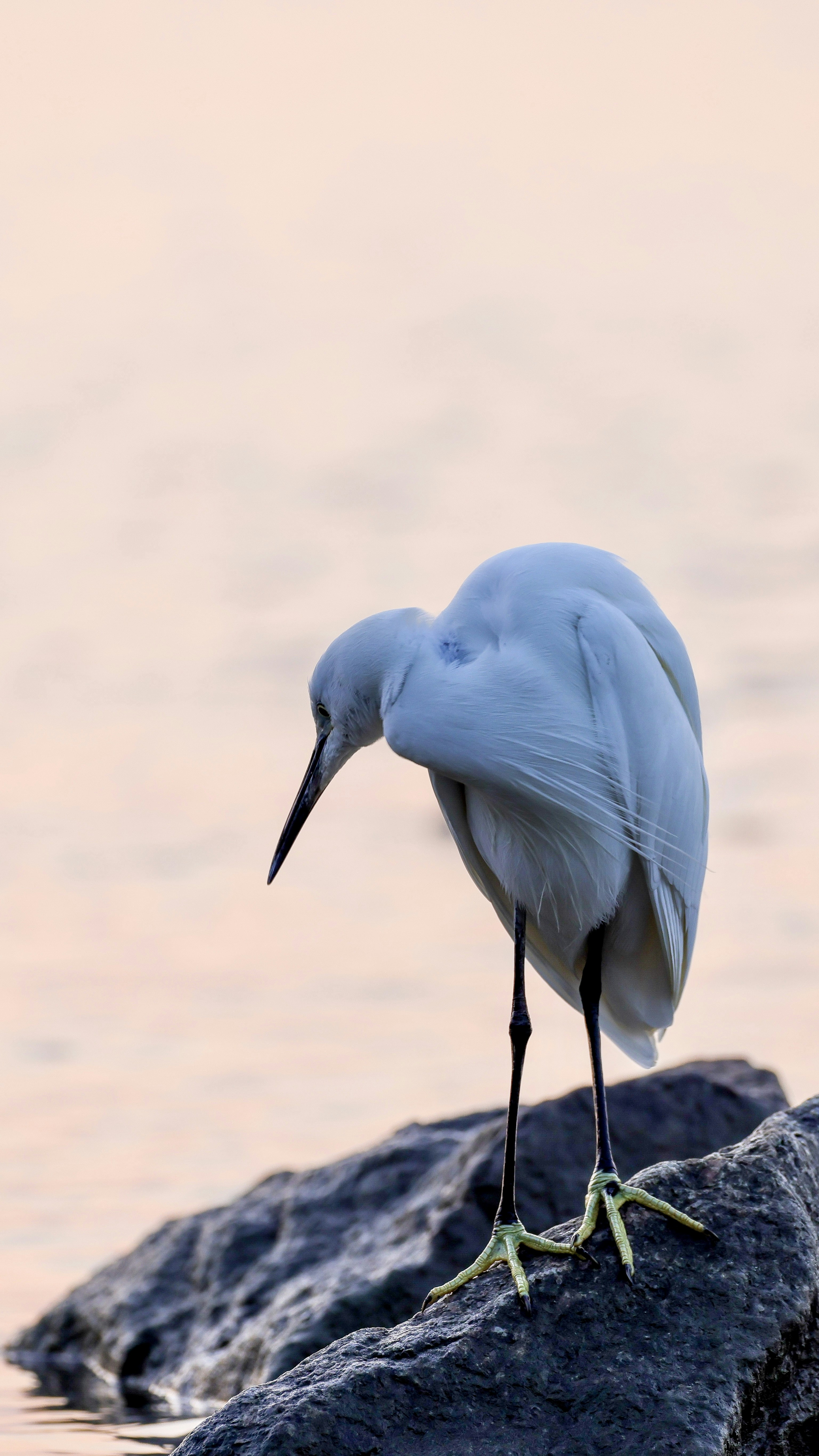 Photo by dickenslin76