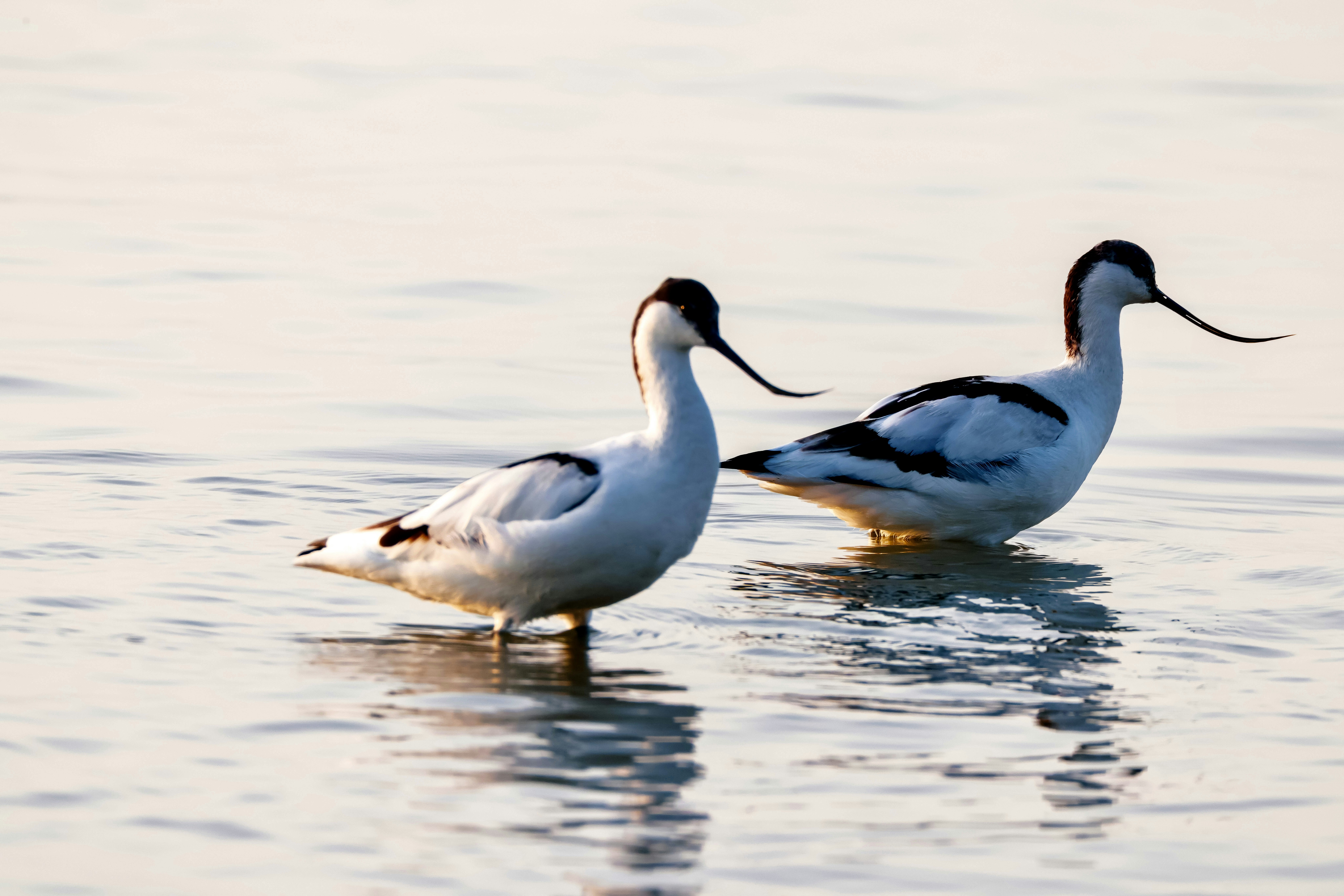 Photo by dickenslin76