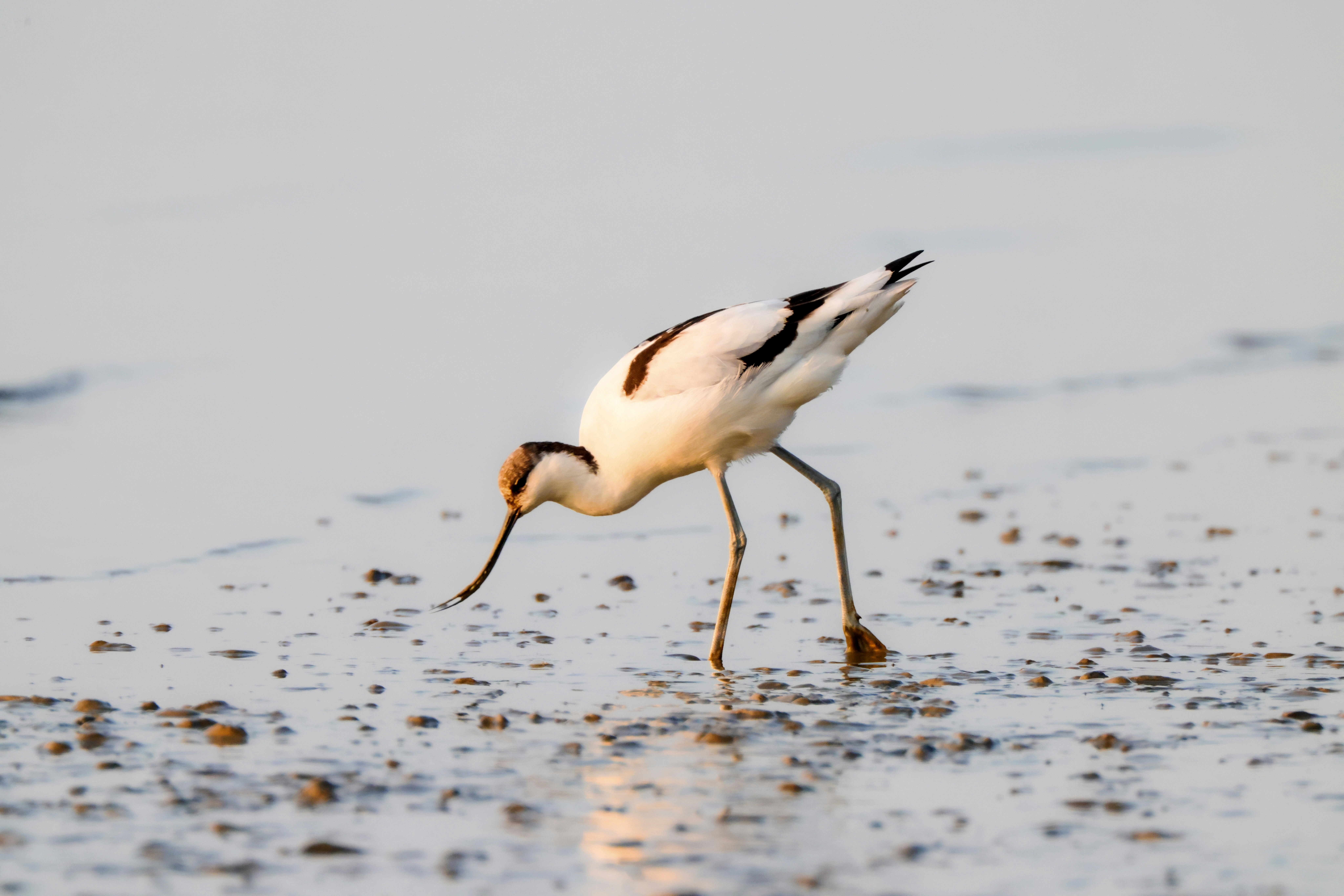 Photo by dickenslin76