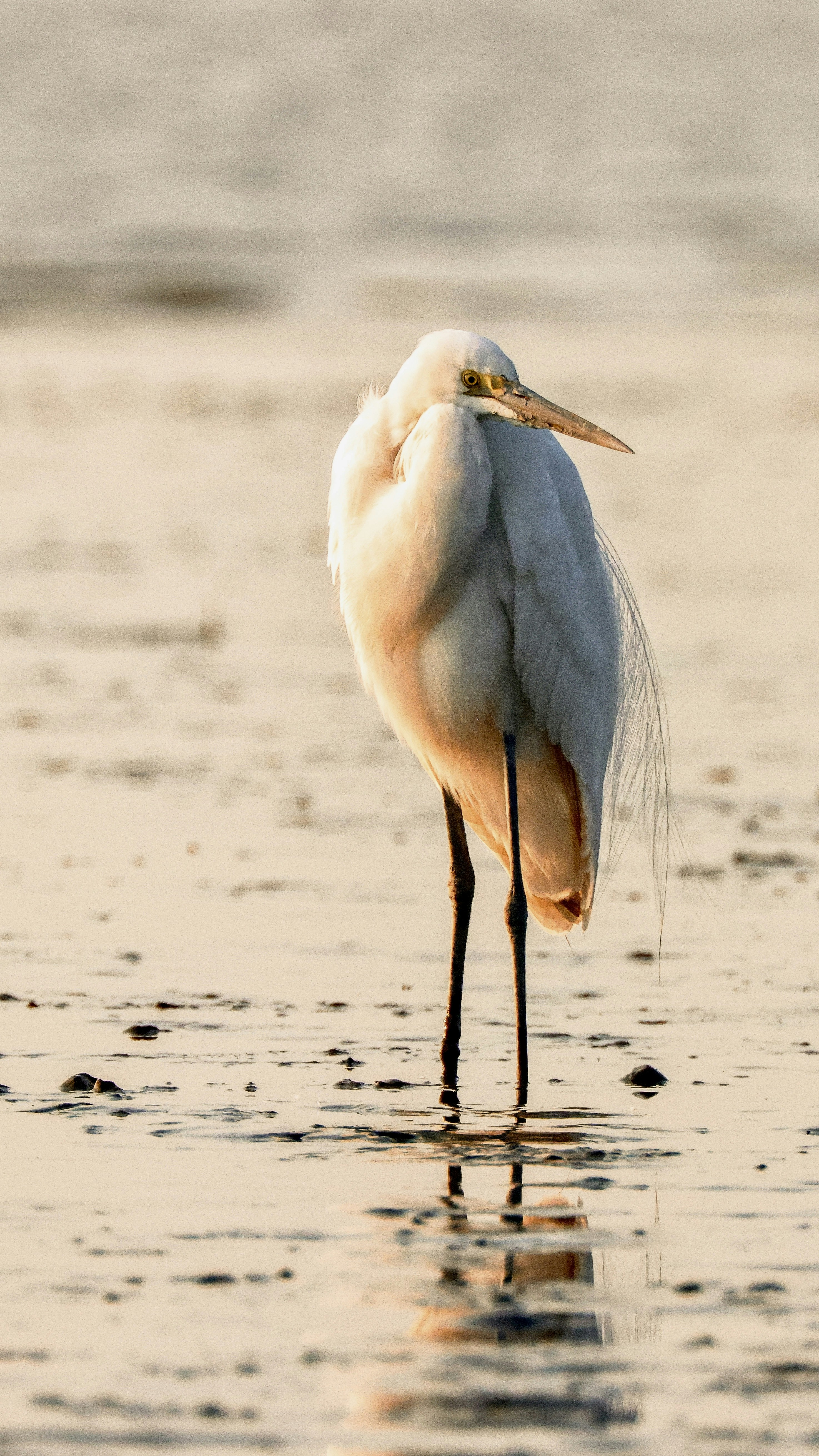 Photo by dickenslin76