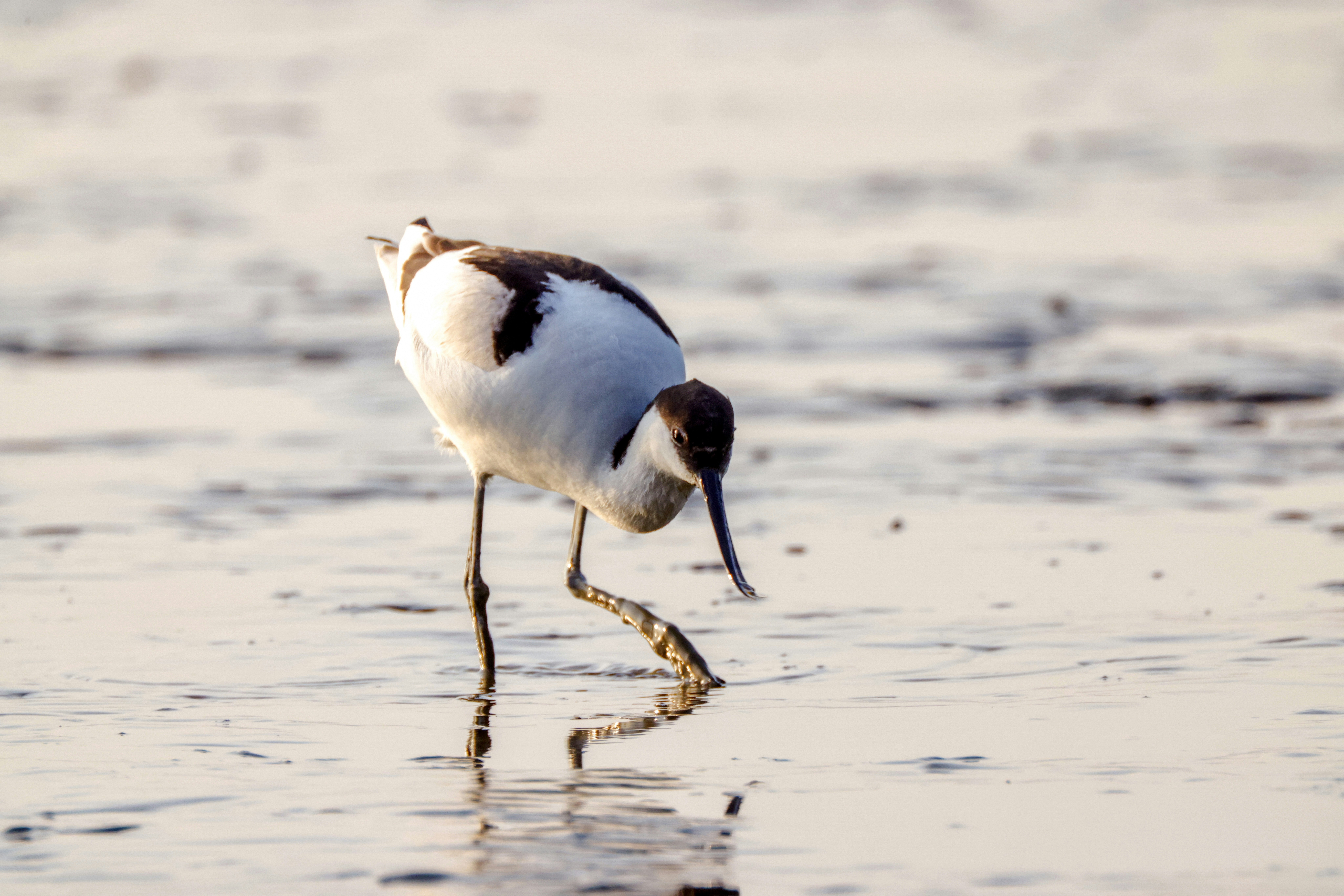 Photo by dickenslin76