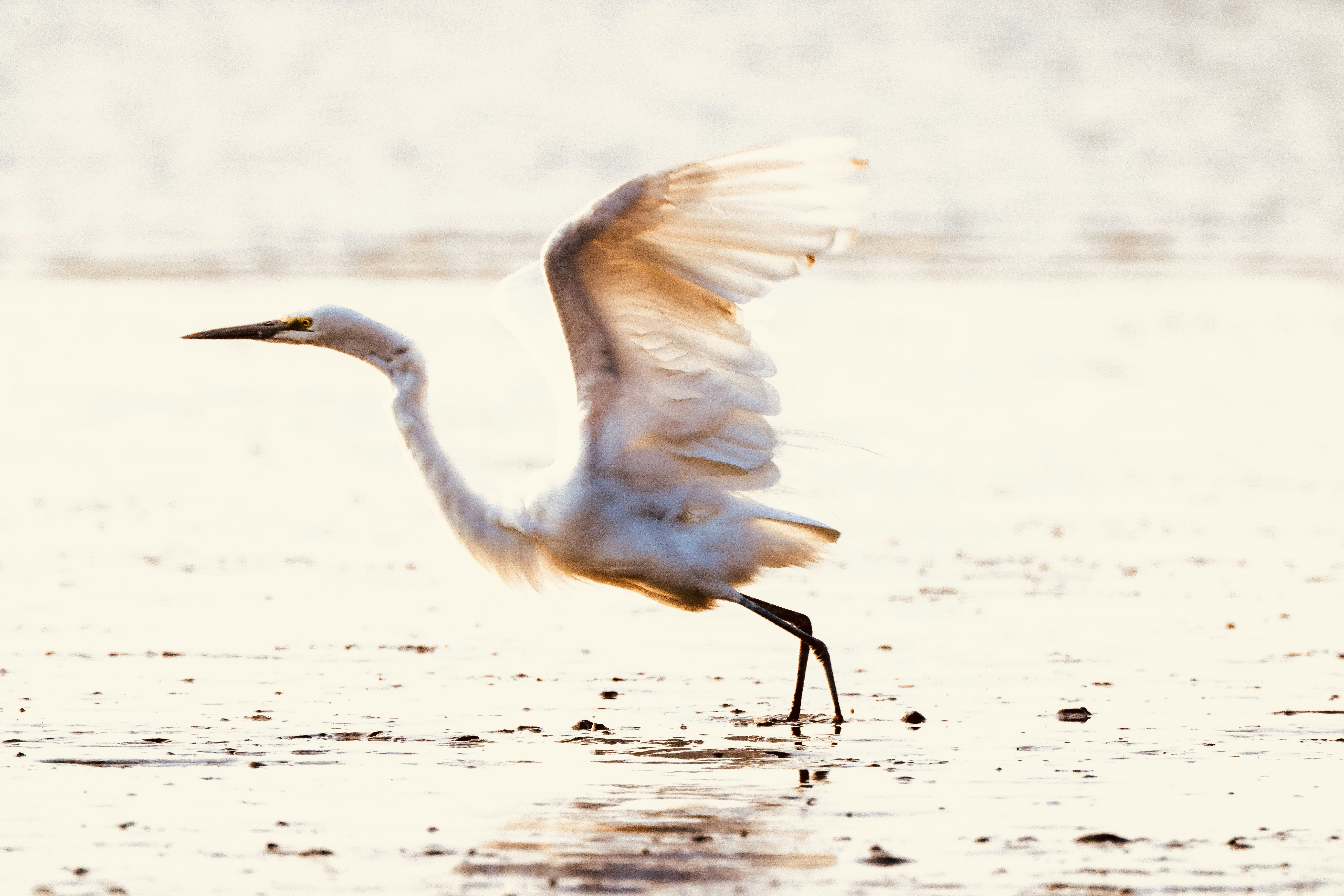 Photo by dickenslin76