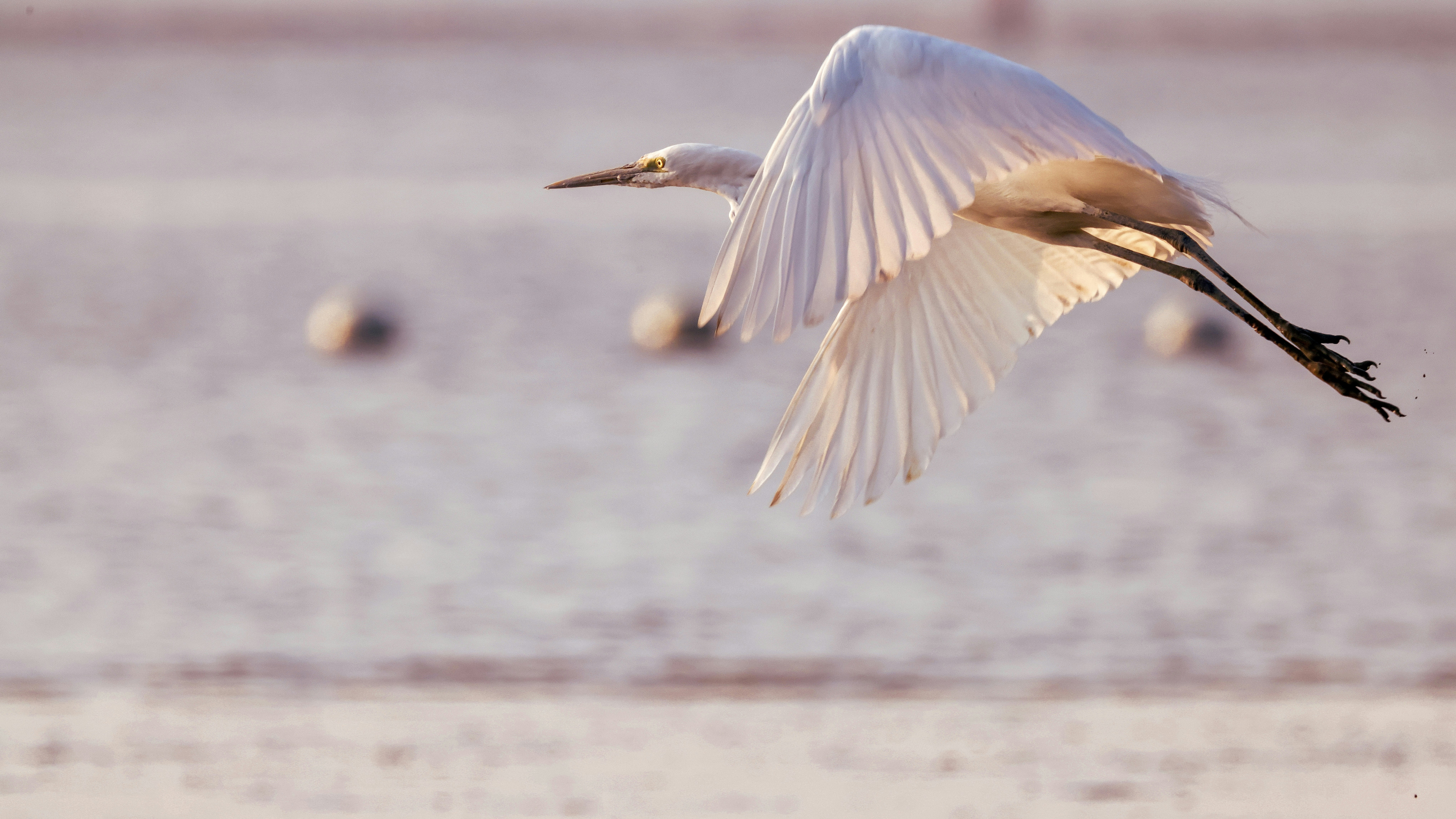 Photo by dickenslin76