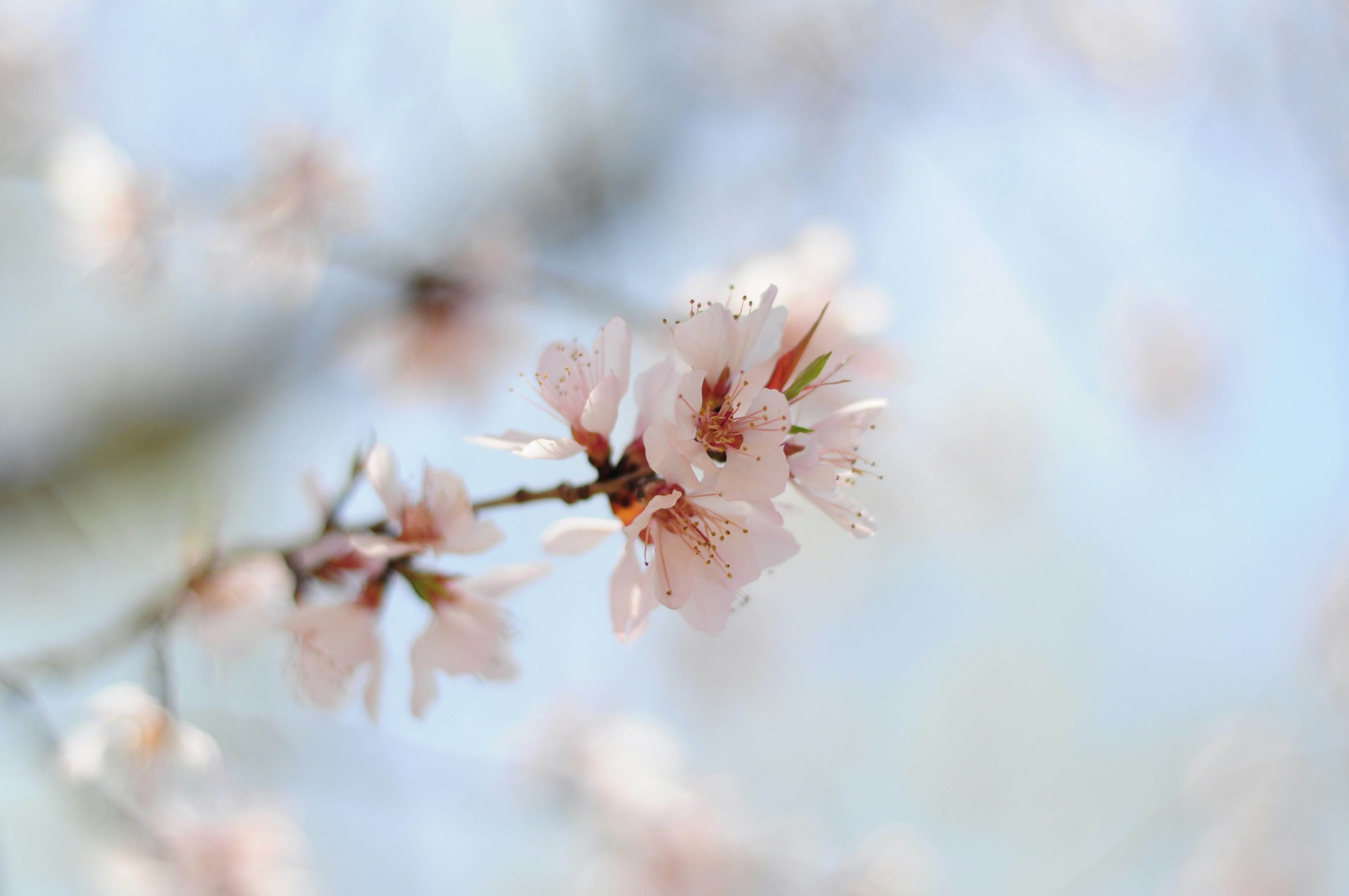 Photo by crunchyplanet