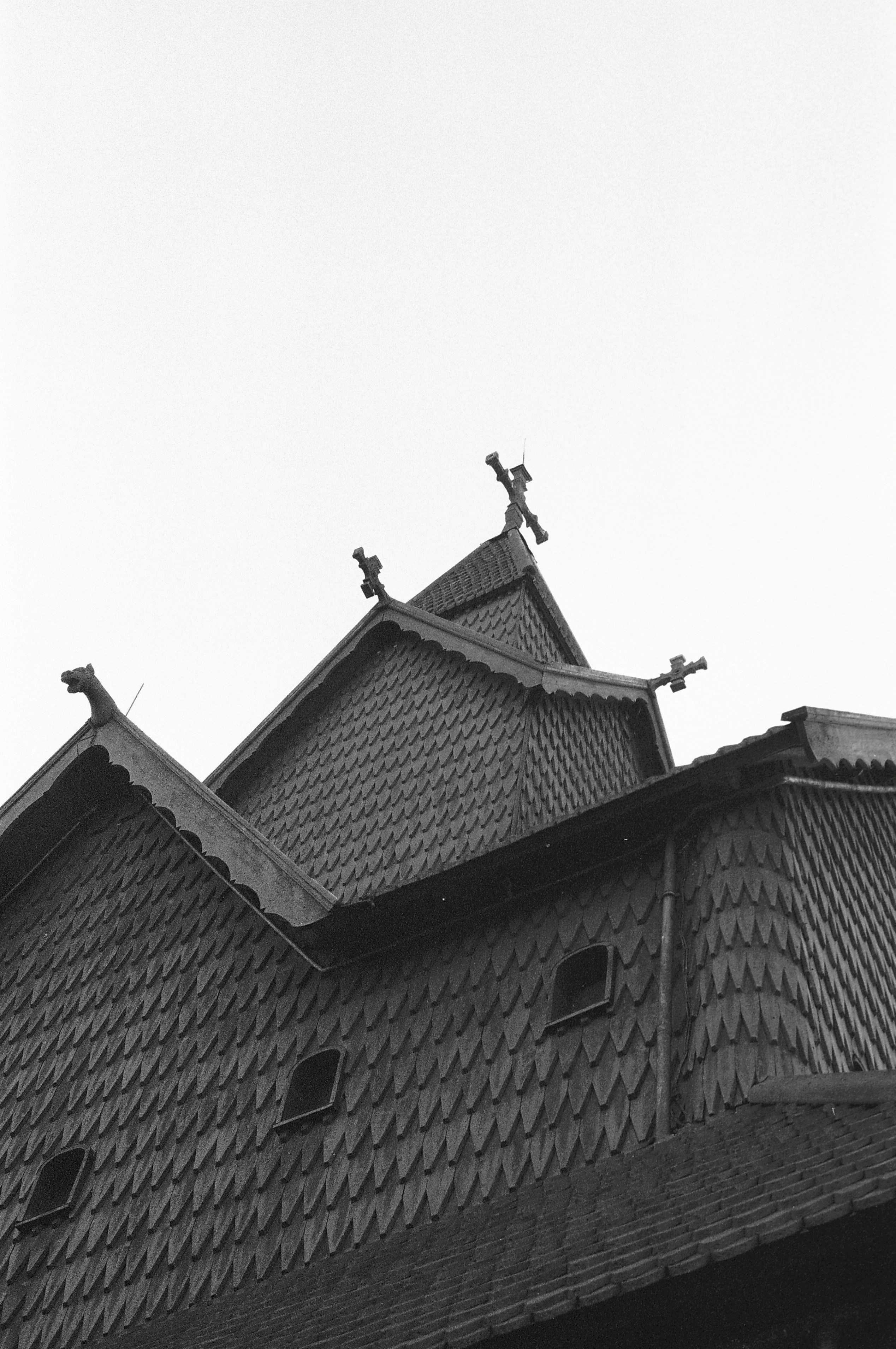 Photo by antonkhmelnitsky