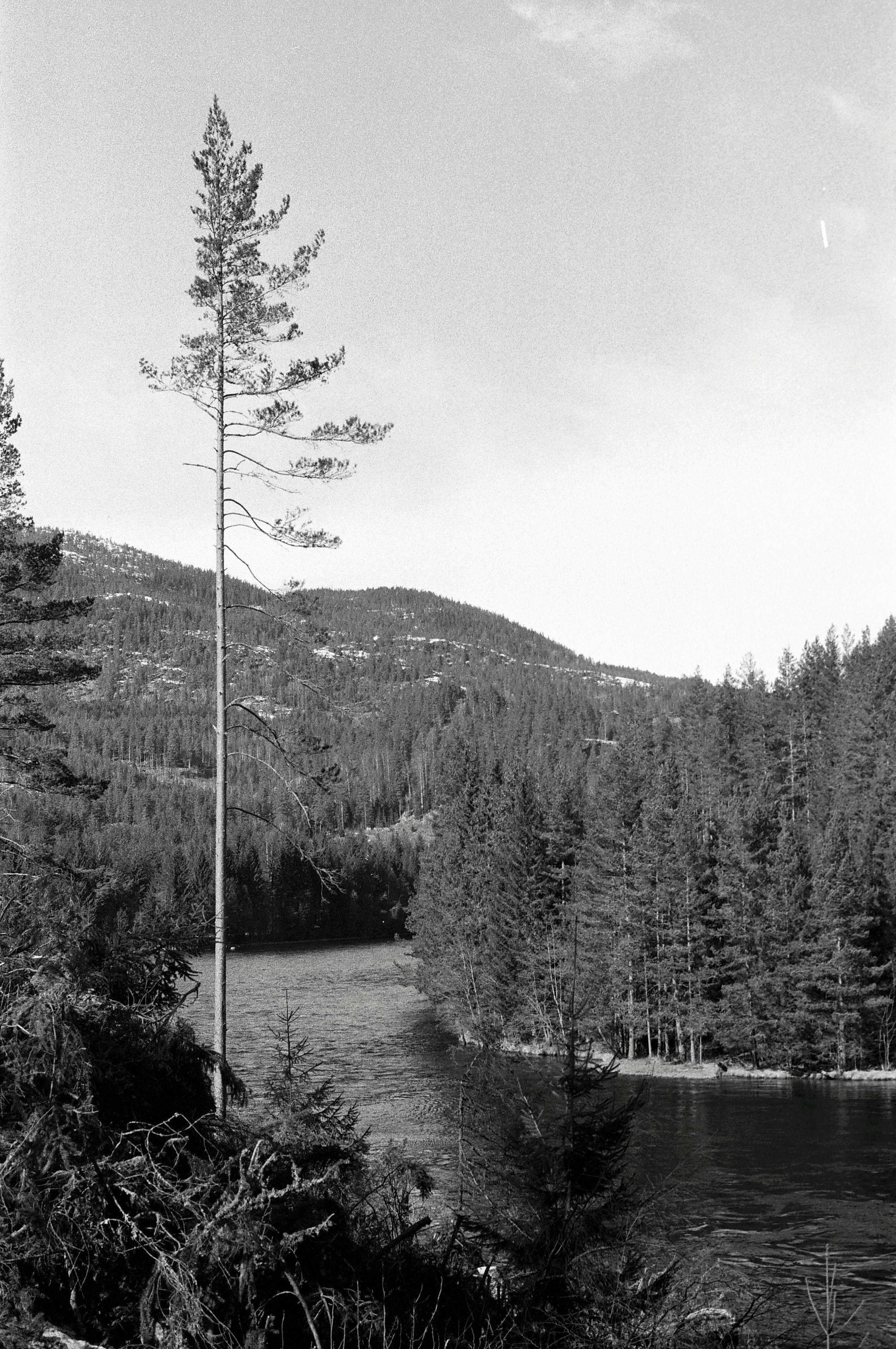 Photo by antonkhmelnitsky