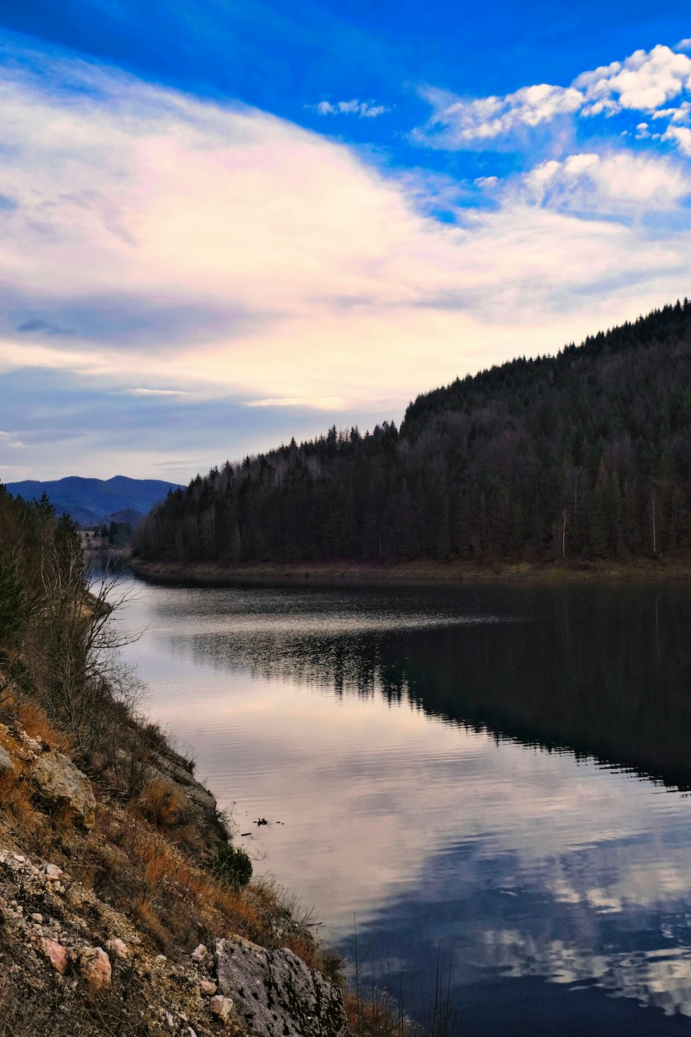 a large body of water surrounded by a forest