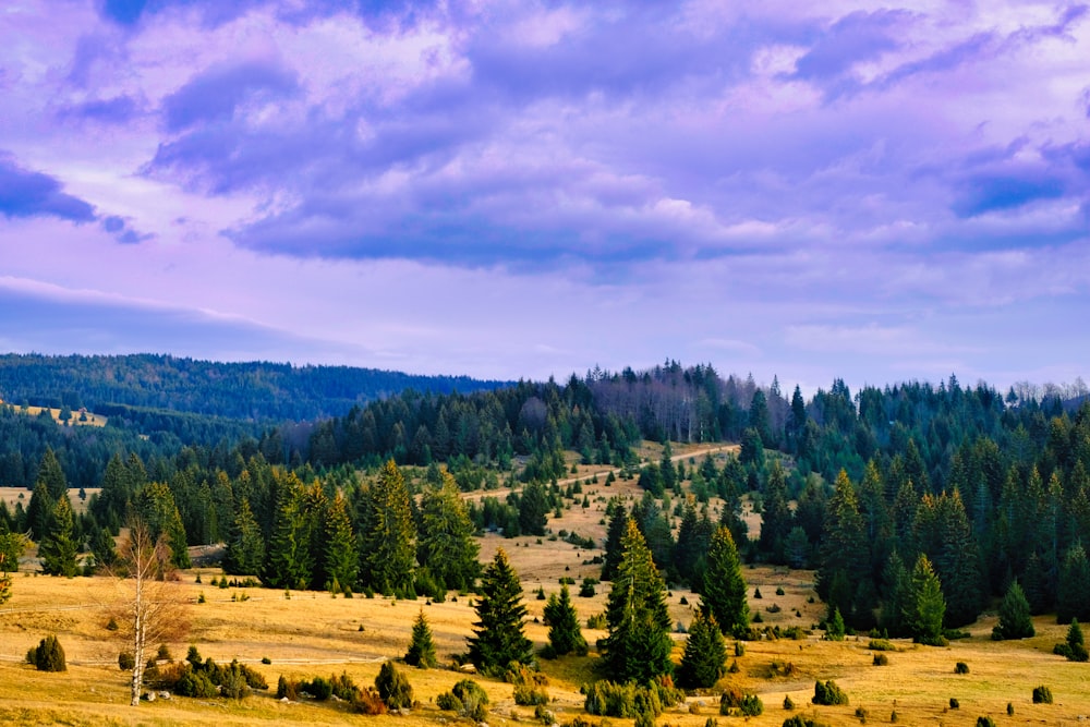 a field with trees and a hill in the background