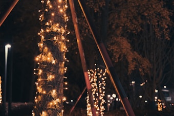A tree is wrapped with bright white string lights, illuminating the bark in a dark outdoor setting. Additional trees and objects are decorated with similar lights in the background, creating a warm, festive atmosphere.