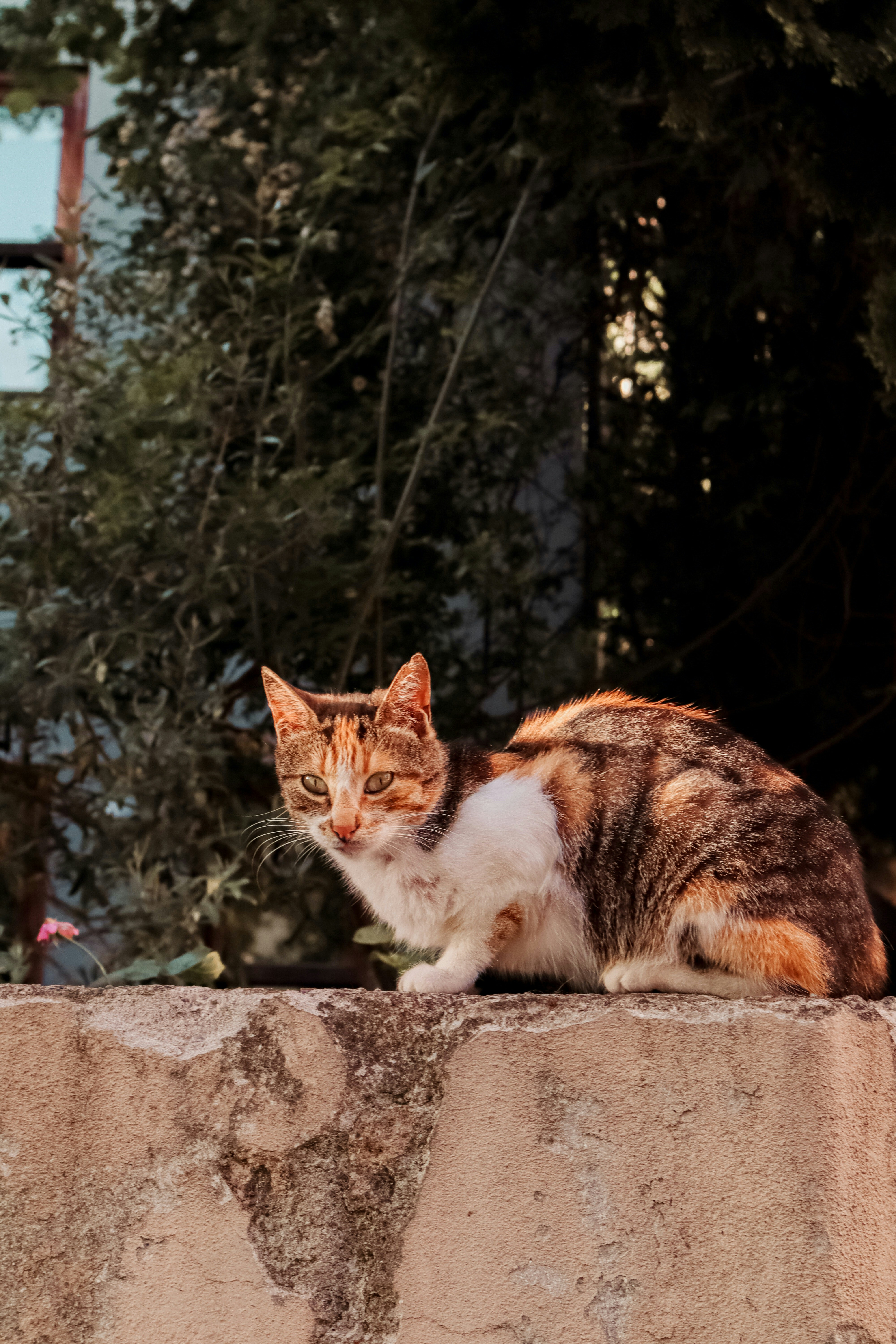 Photo by tugceack