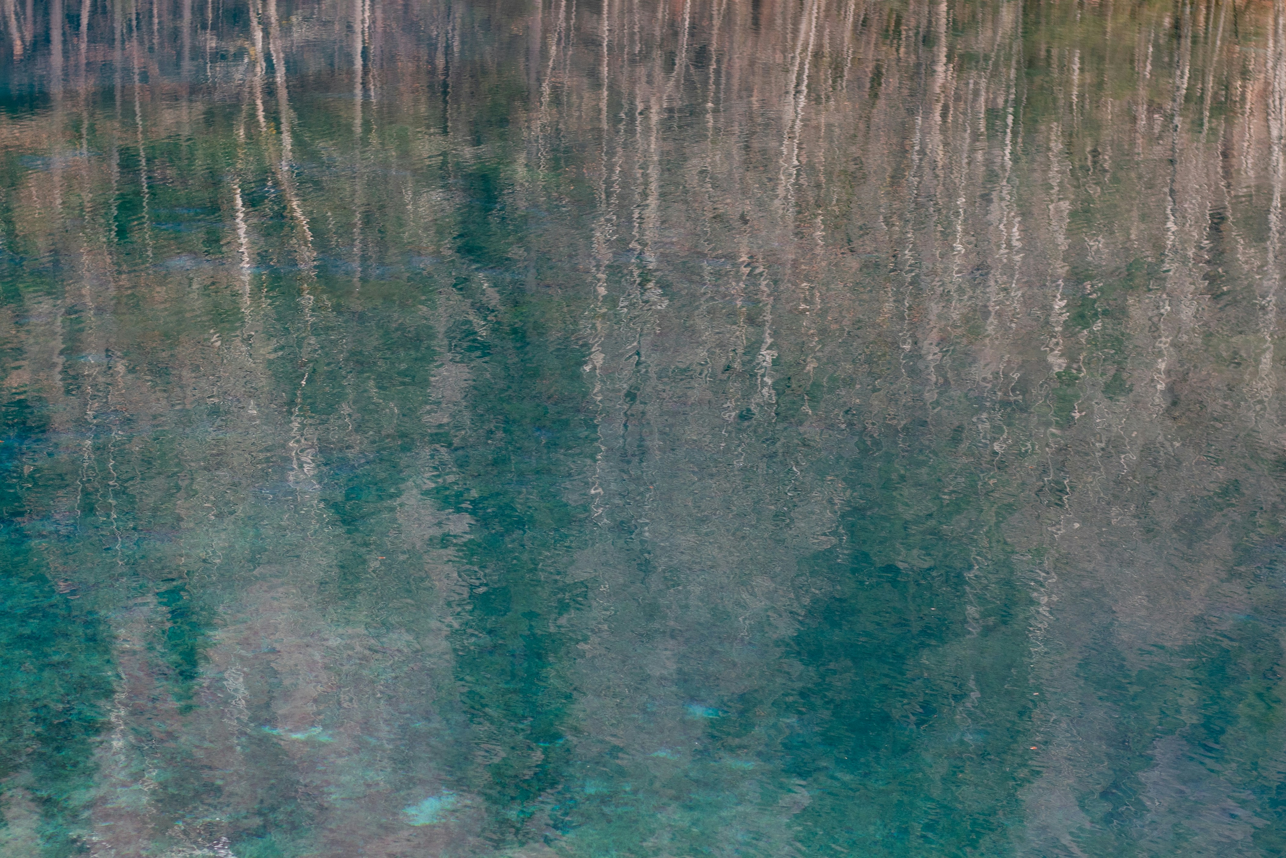 a boat floating on top of a lake next to a forest