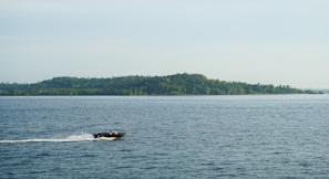A motorboat speeding across the sparkling water with lush green shoreline in the background
