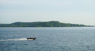 A motorboat speeding across the sparkling water with lush green shoreline in the background