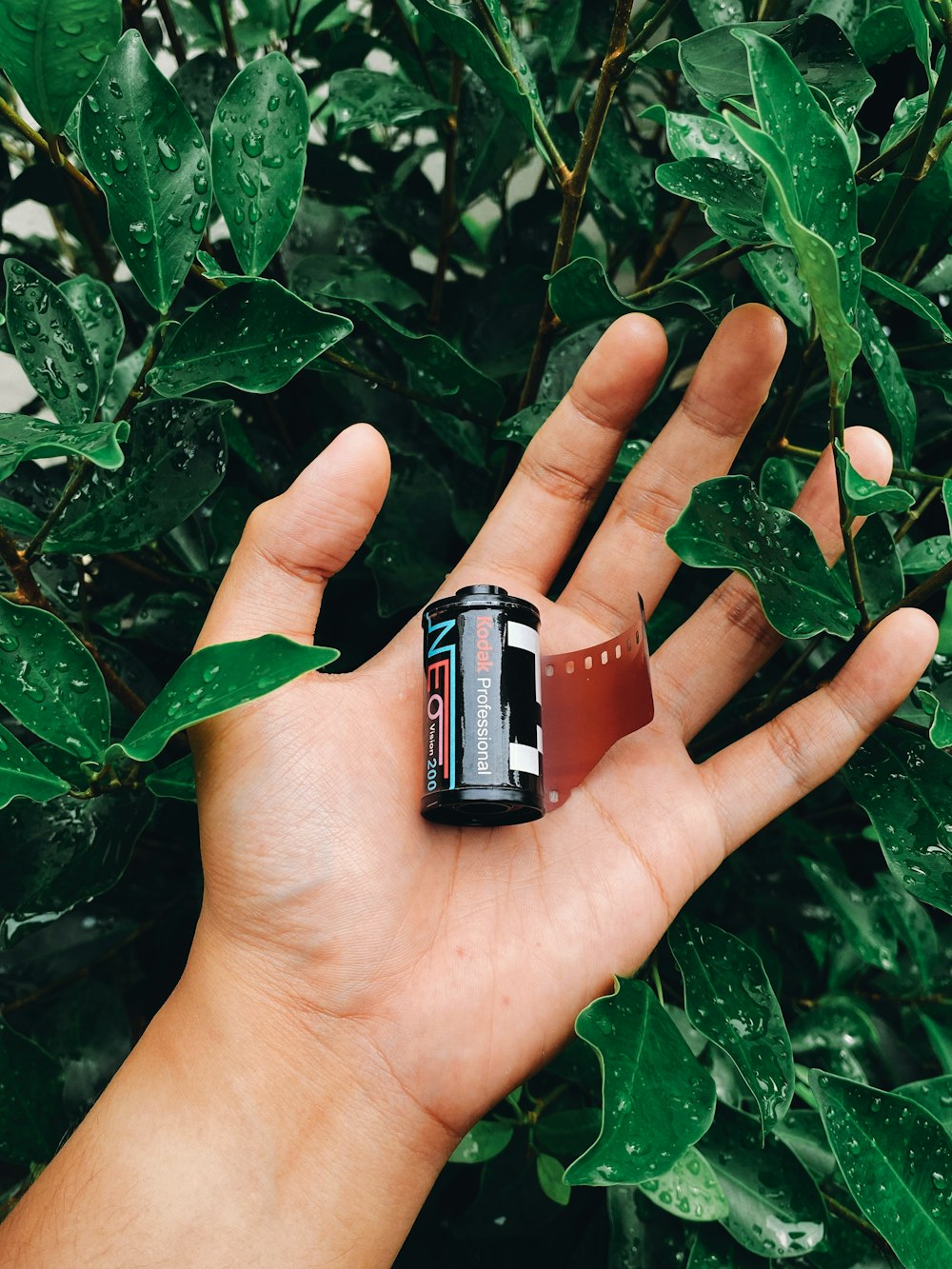 a person holding a small toy car in their hand