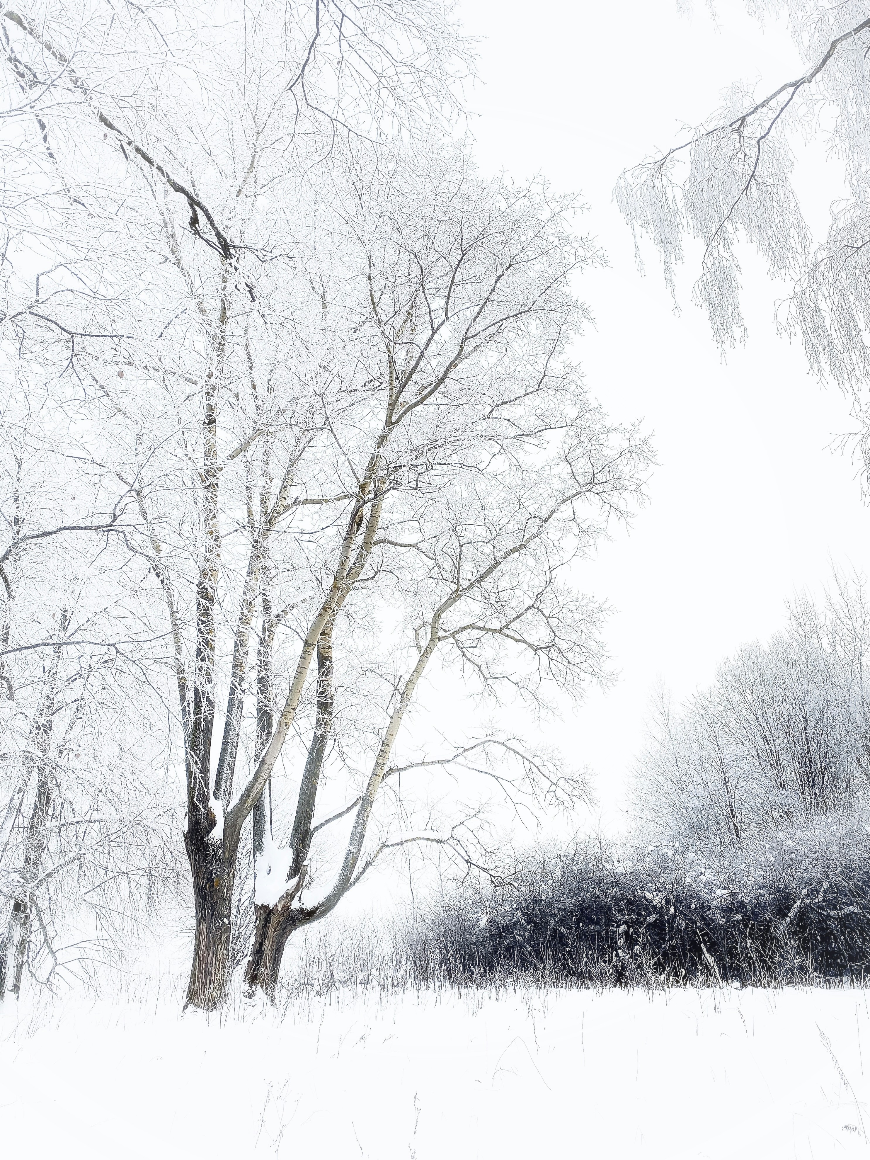 Photo by eugene_golovesov