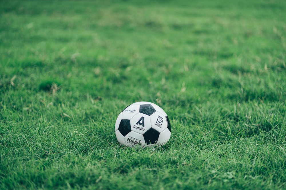 a soccer ball sitting on top of a lush green field