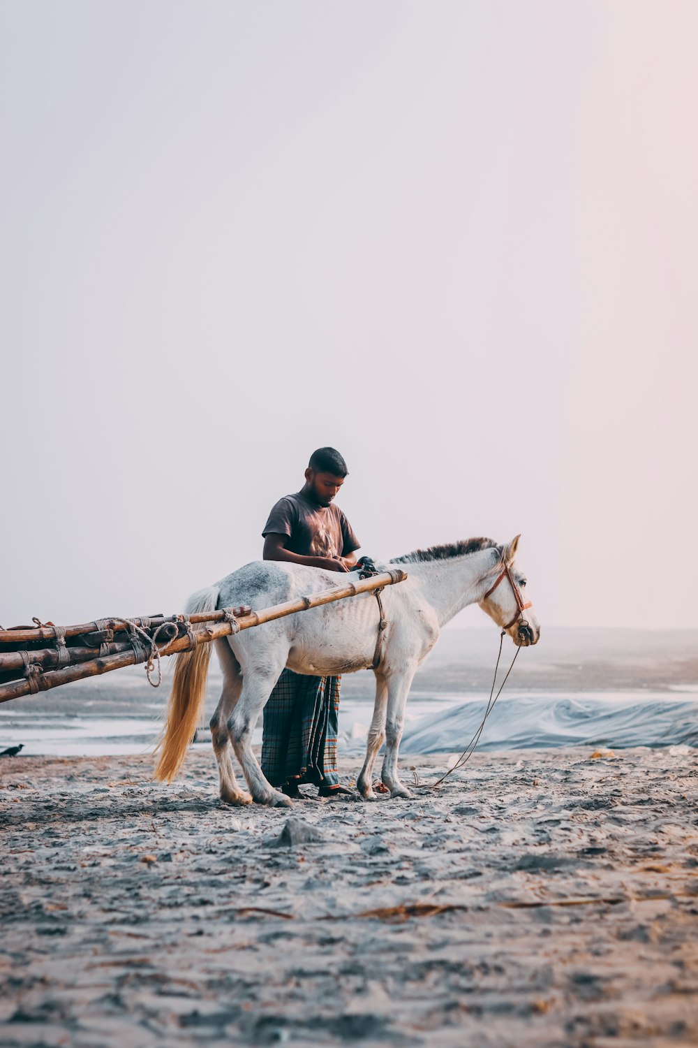 a man standing next to a white horse on a beach